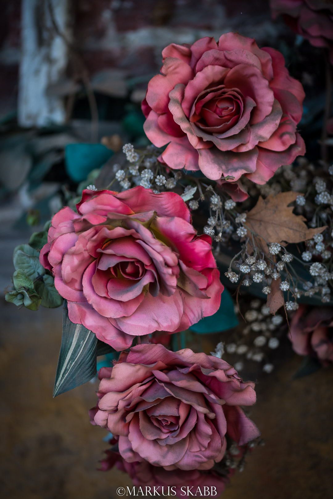 Le rose che non colsi