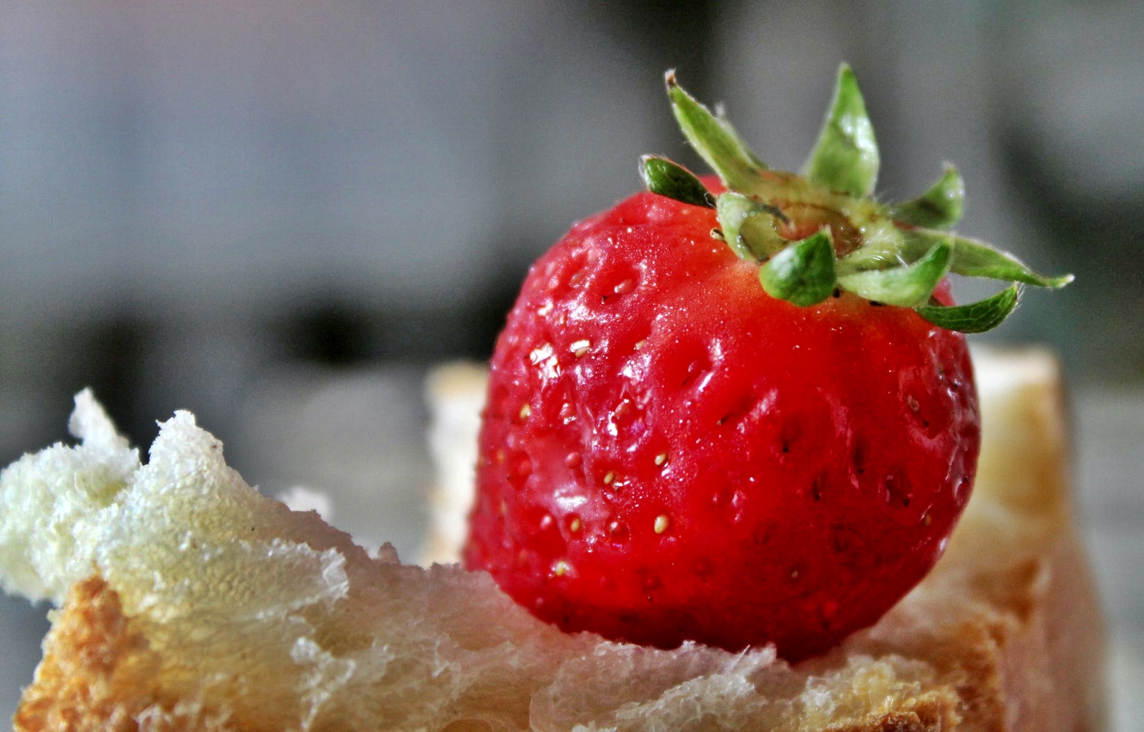 Fragola
