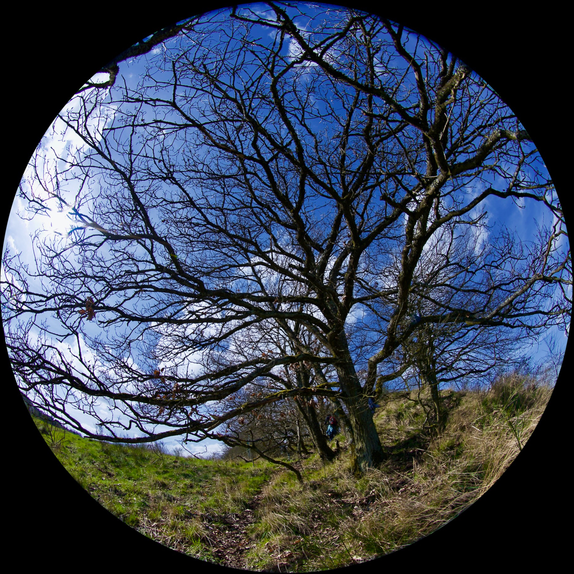 FX crop, circular black mask 9