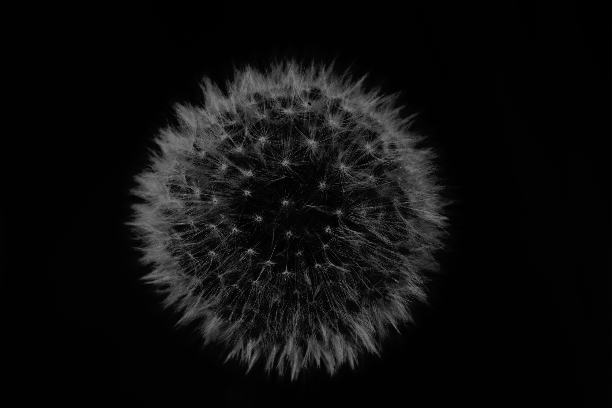 fuochi d'artificio..