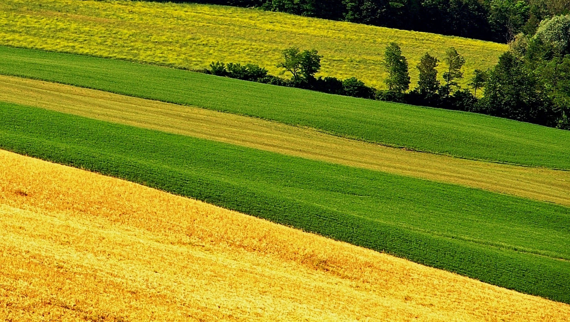 Appennino parmense: cromie
