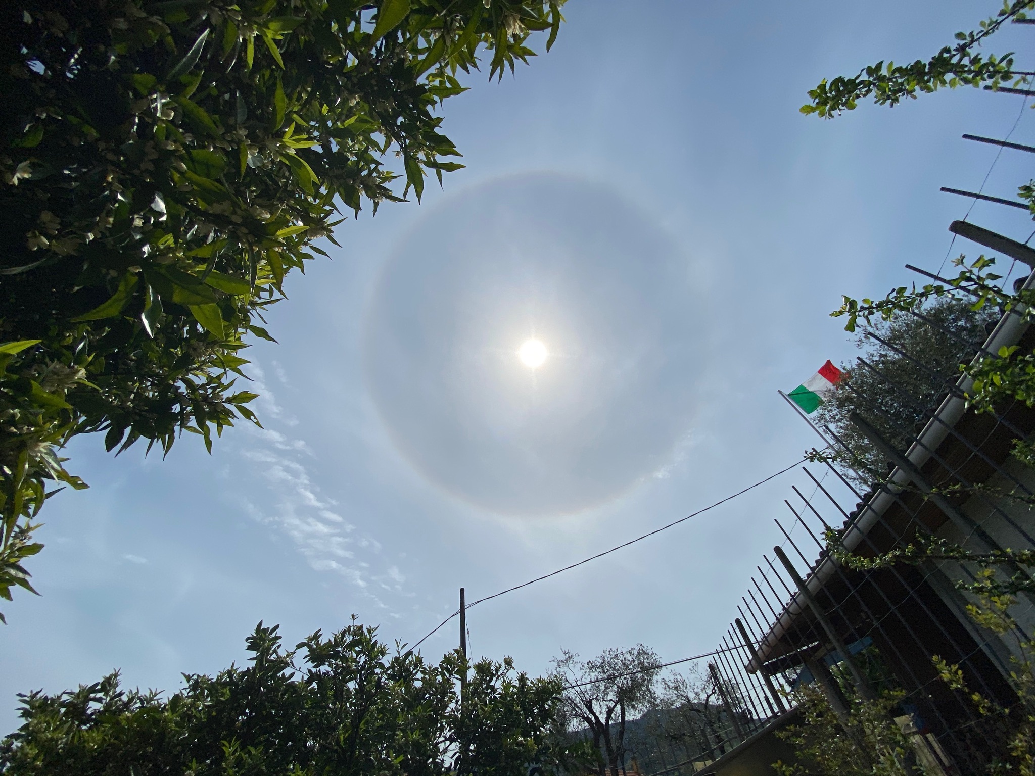 The Lord of the Ring