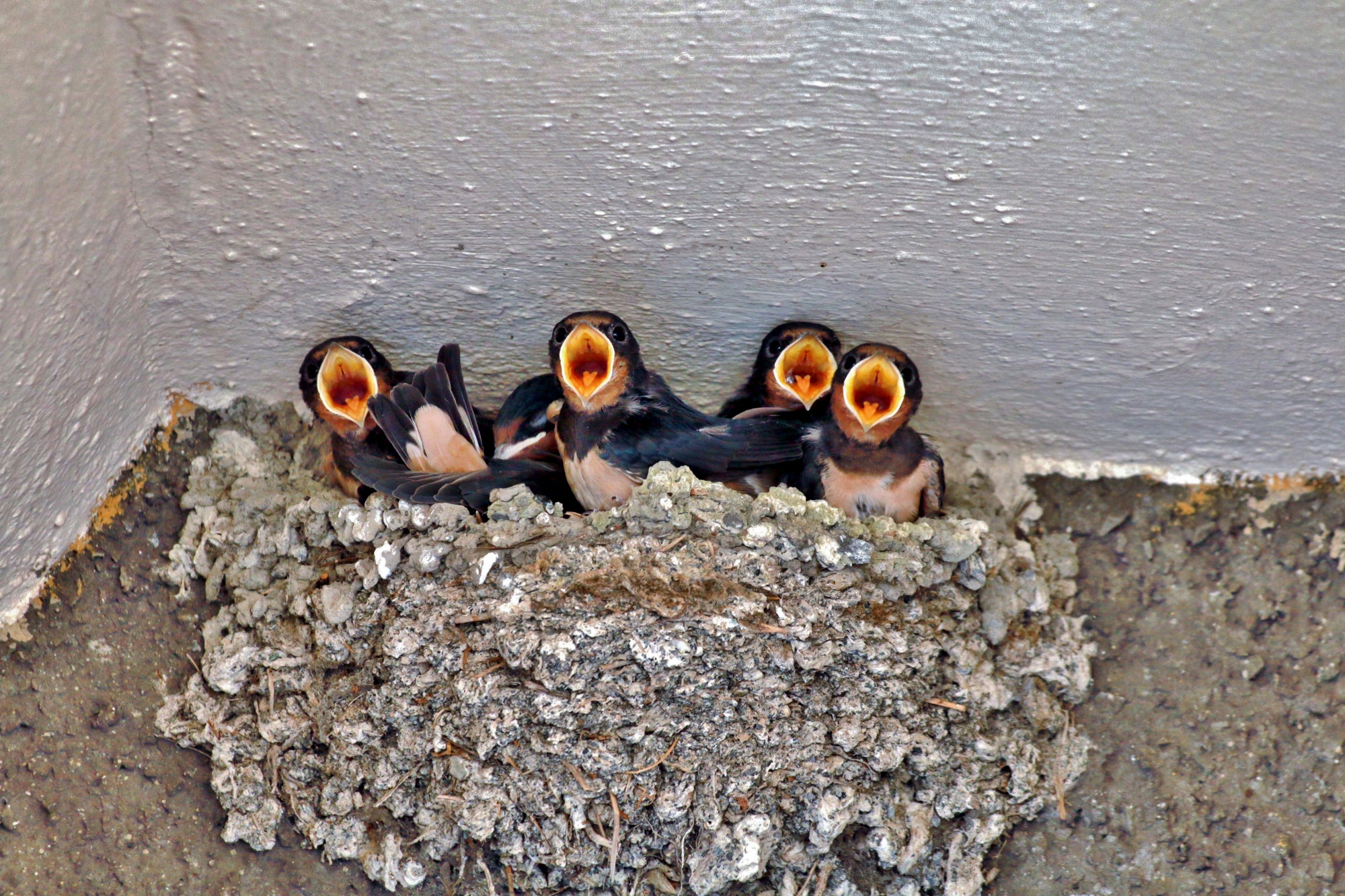 We stay at home......