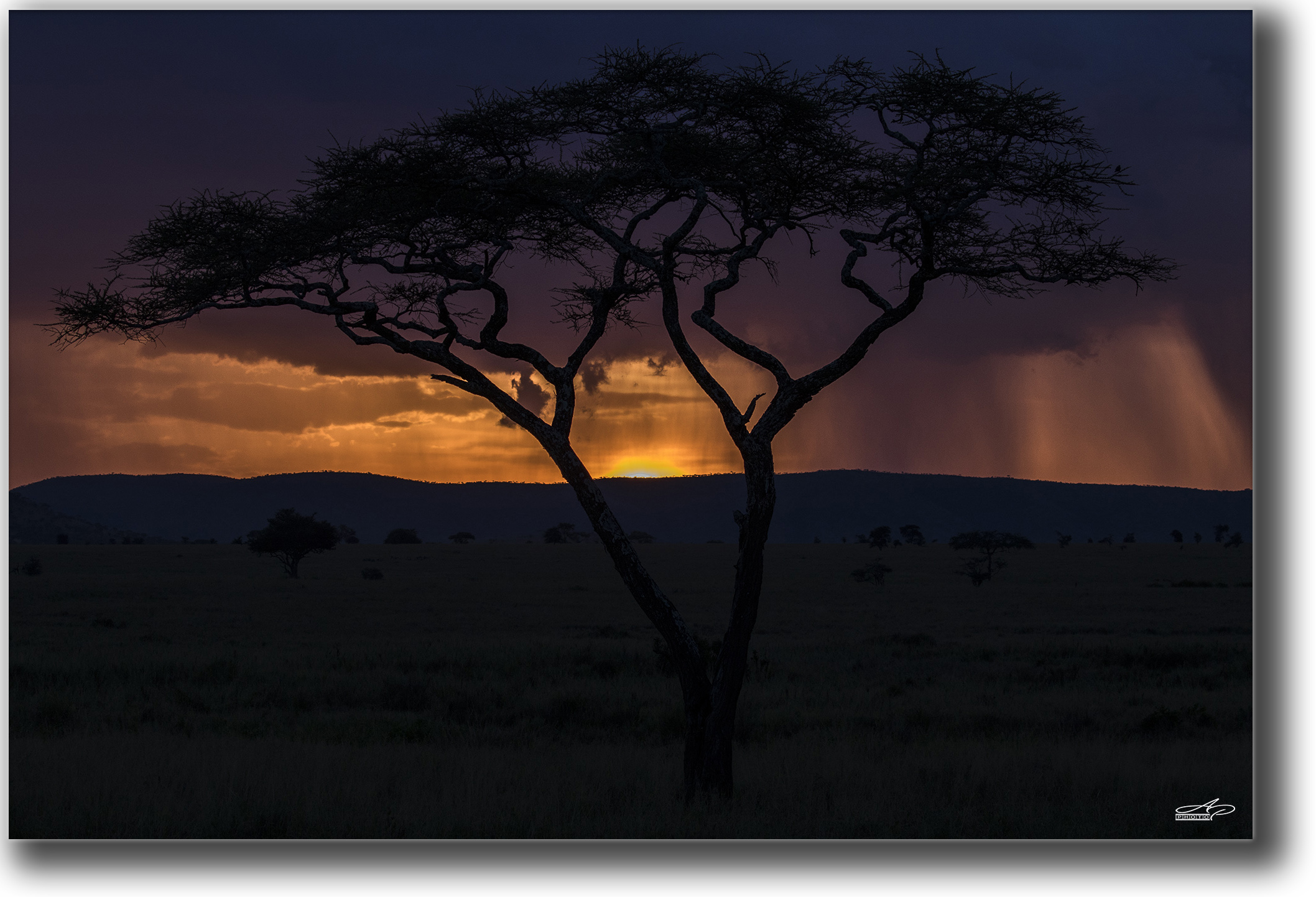 Africa tra oro e tempesta