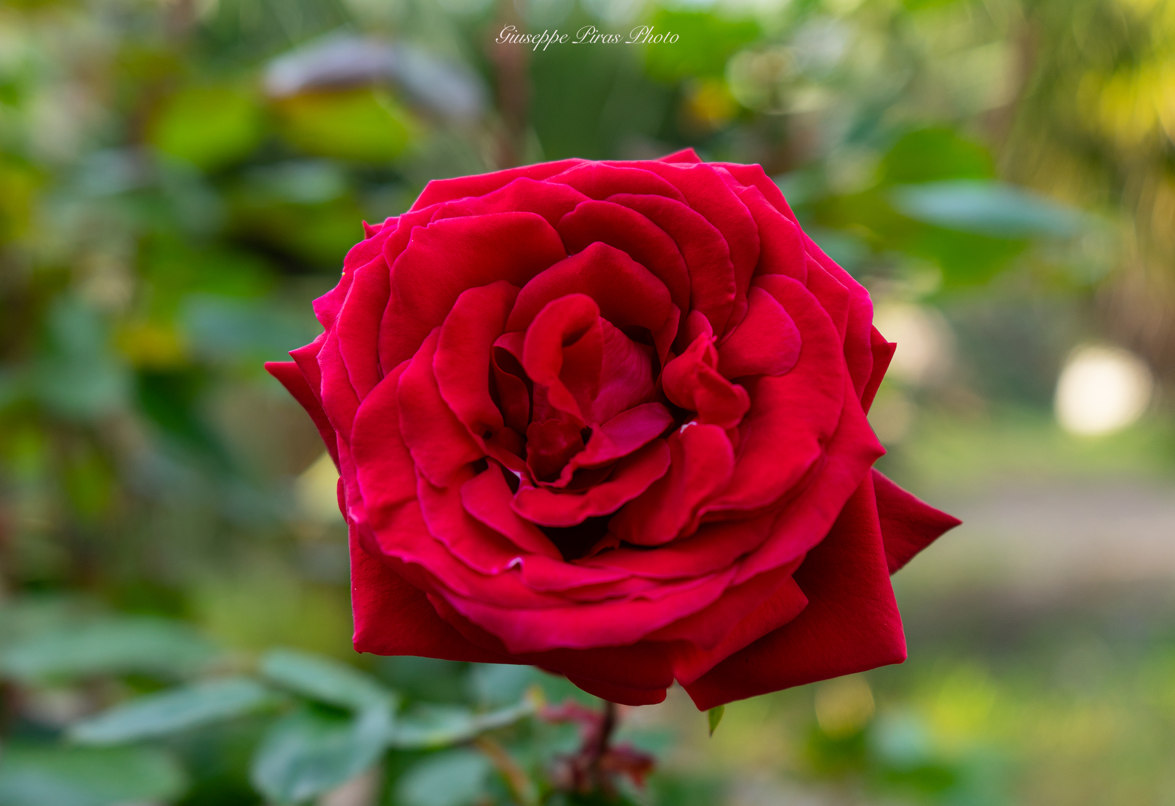 ... in all its glory