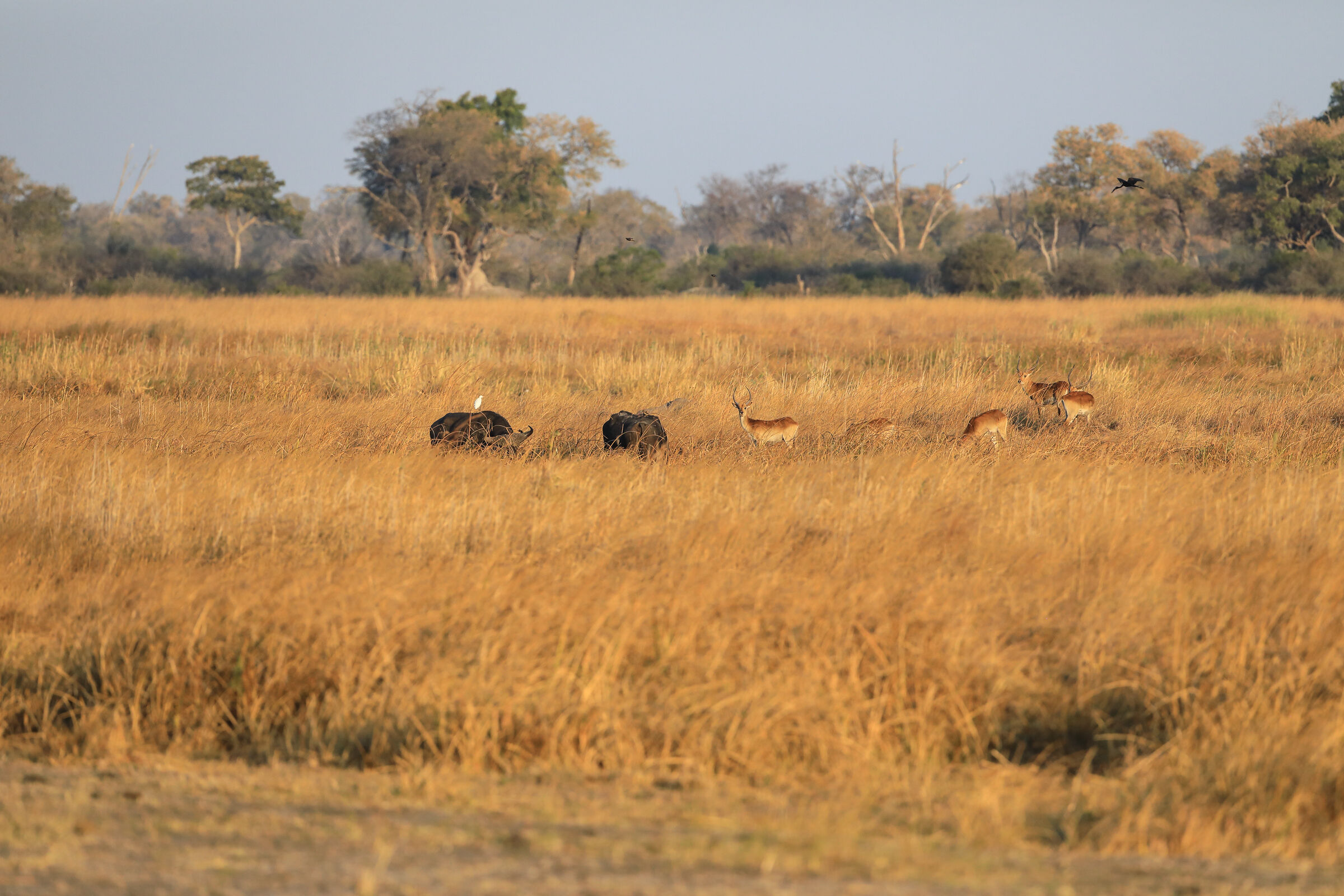 Mamili National Park