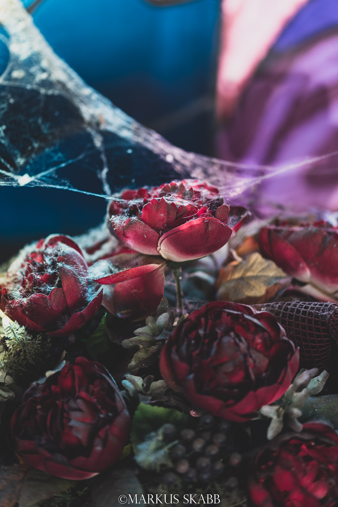 Rose finte, ragnatele e silenzio.