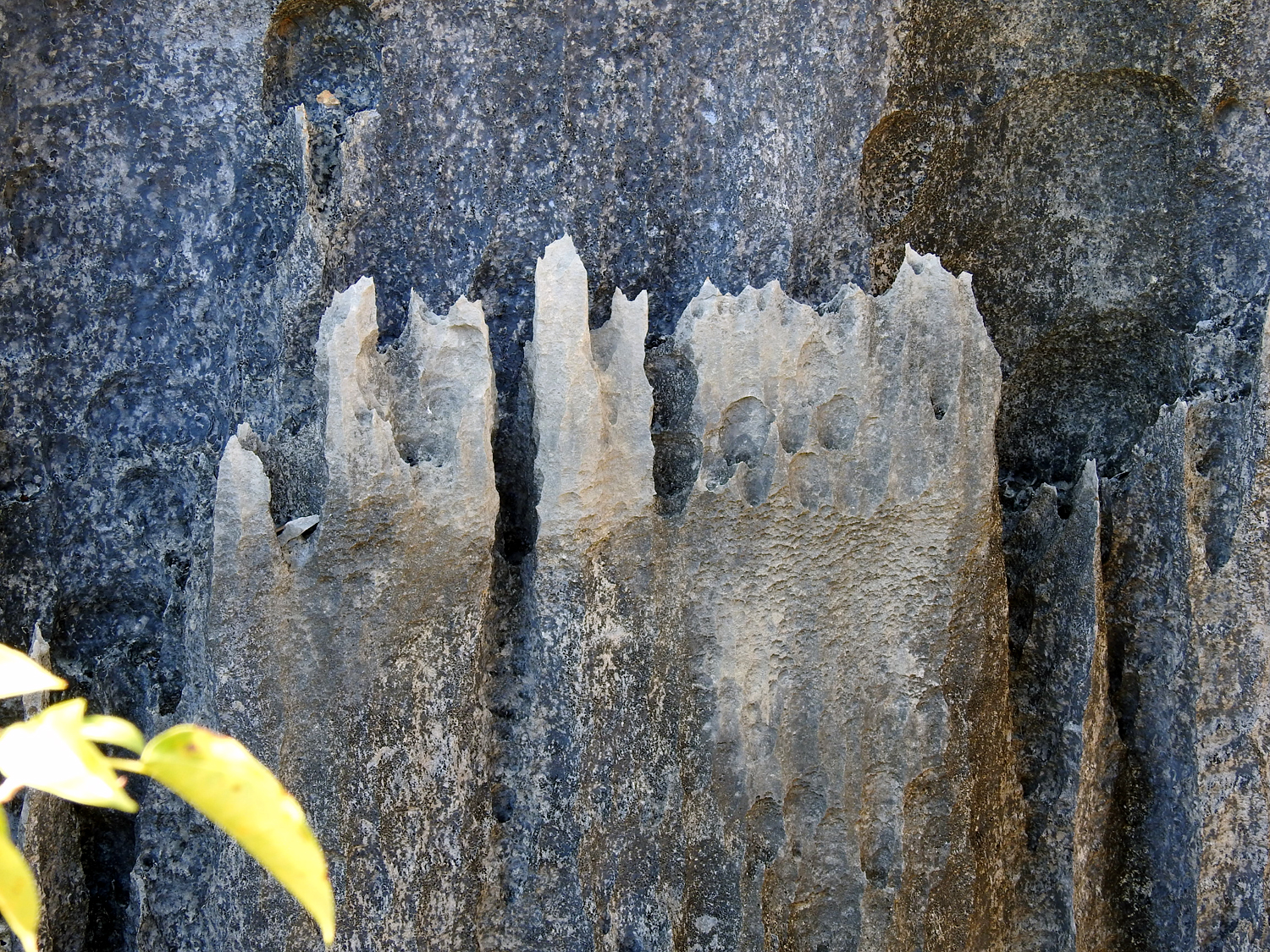 15-07-2019 Tsingy de Bemaraha National Park