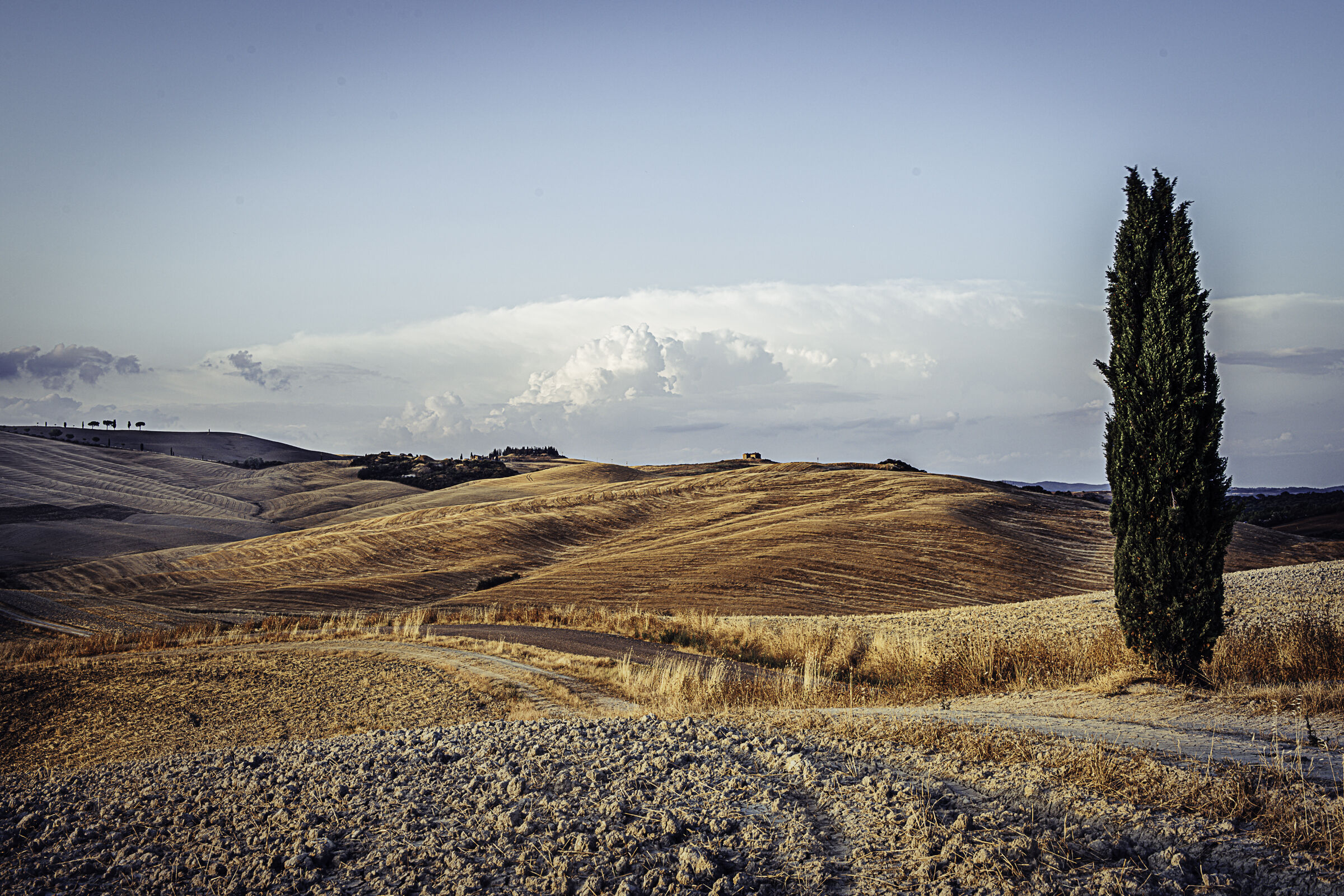 Toscana, i paesaggi della Val d'Orcia n.2