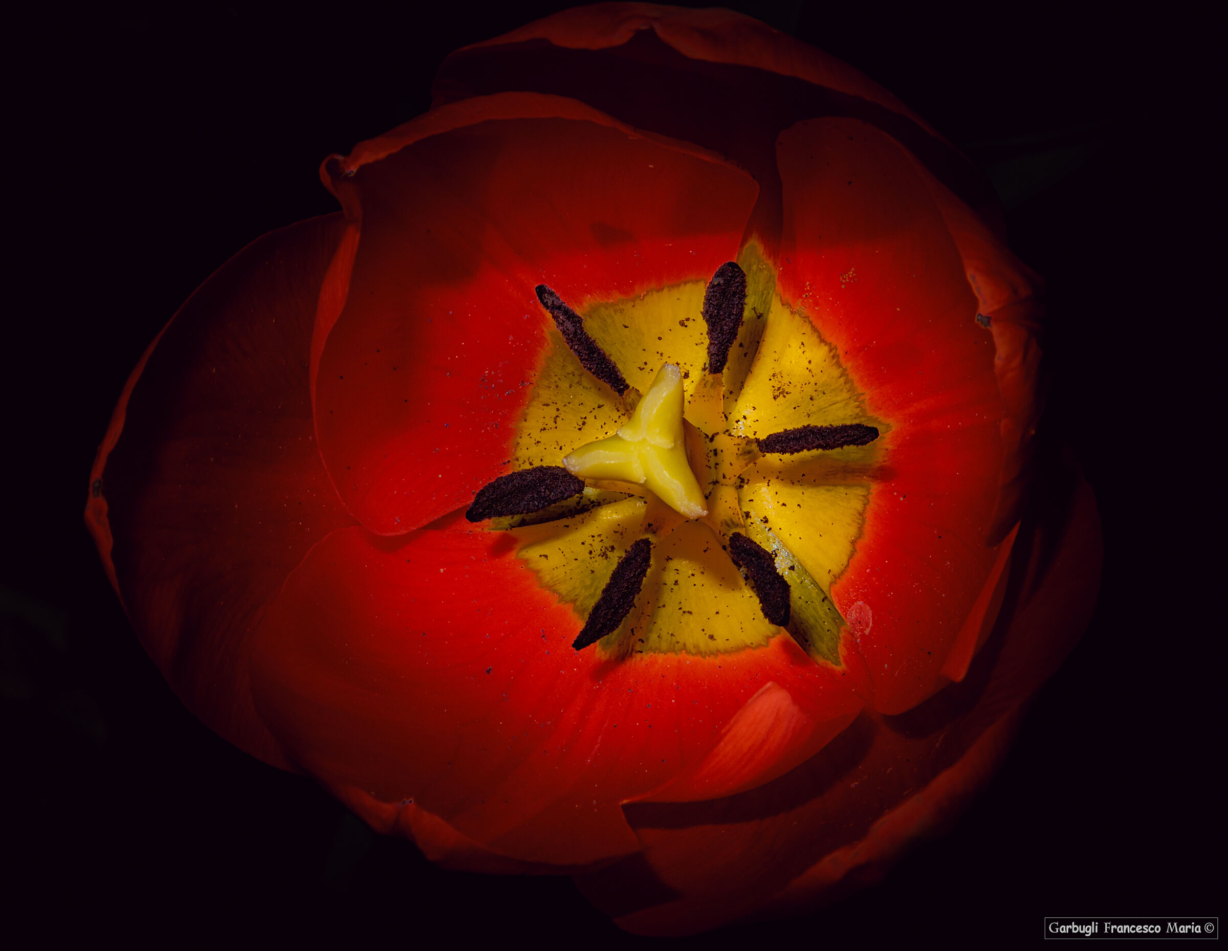 I colori della natura....