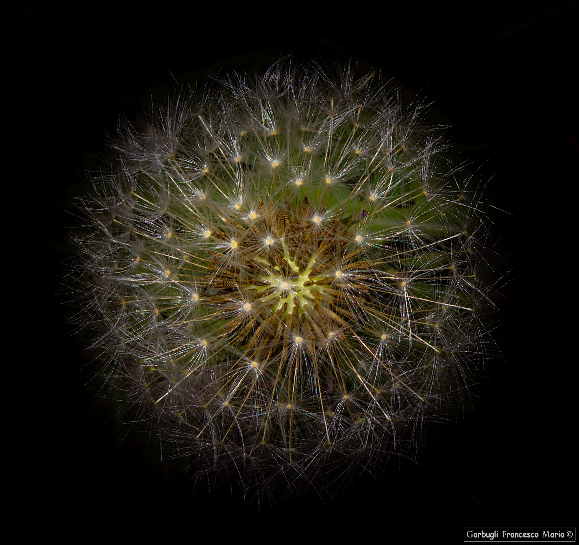 Se fosse il coronavirus...... basterebbe soffiarci