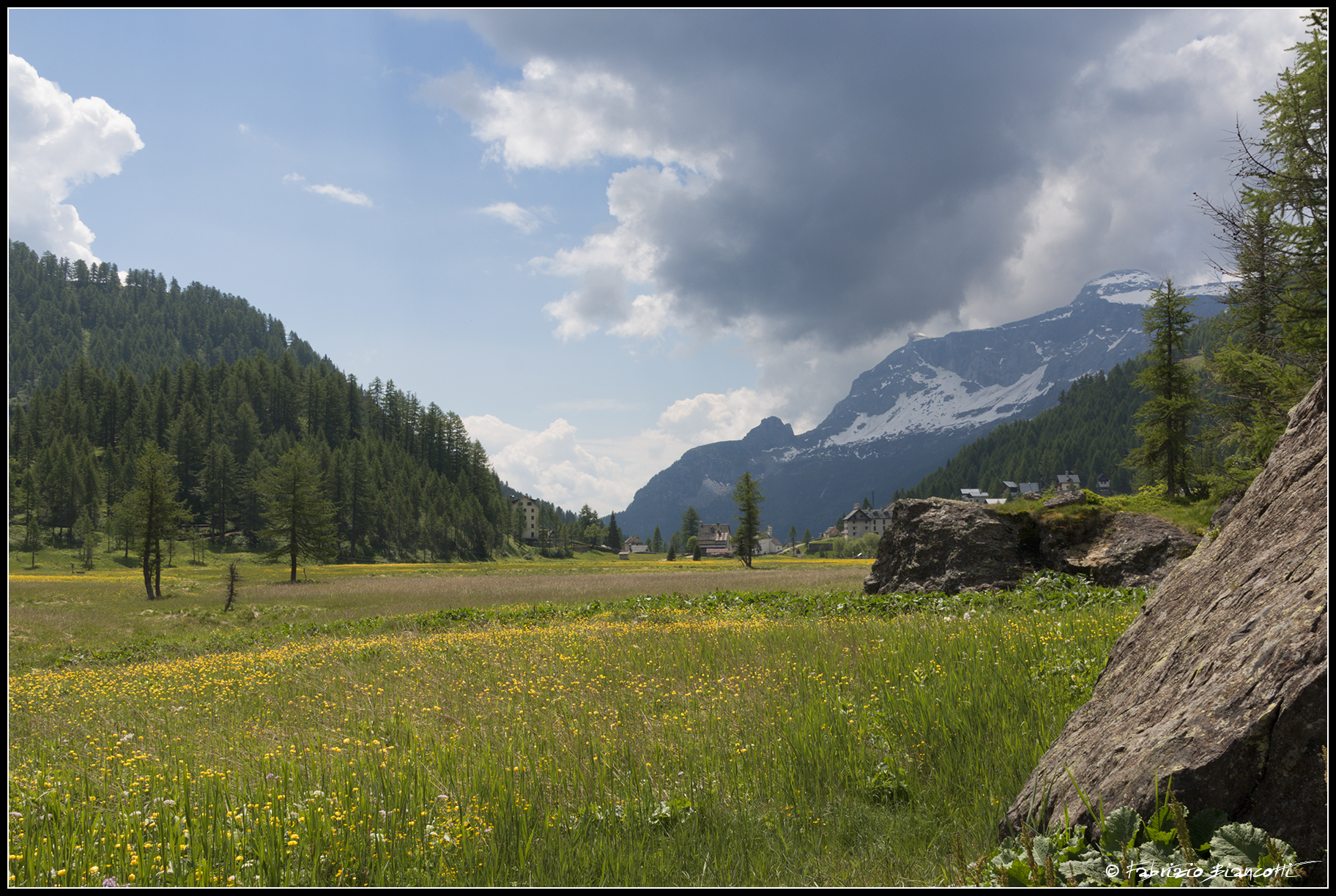 The Flowery Devero Plain