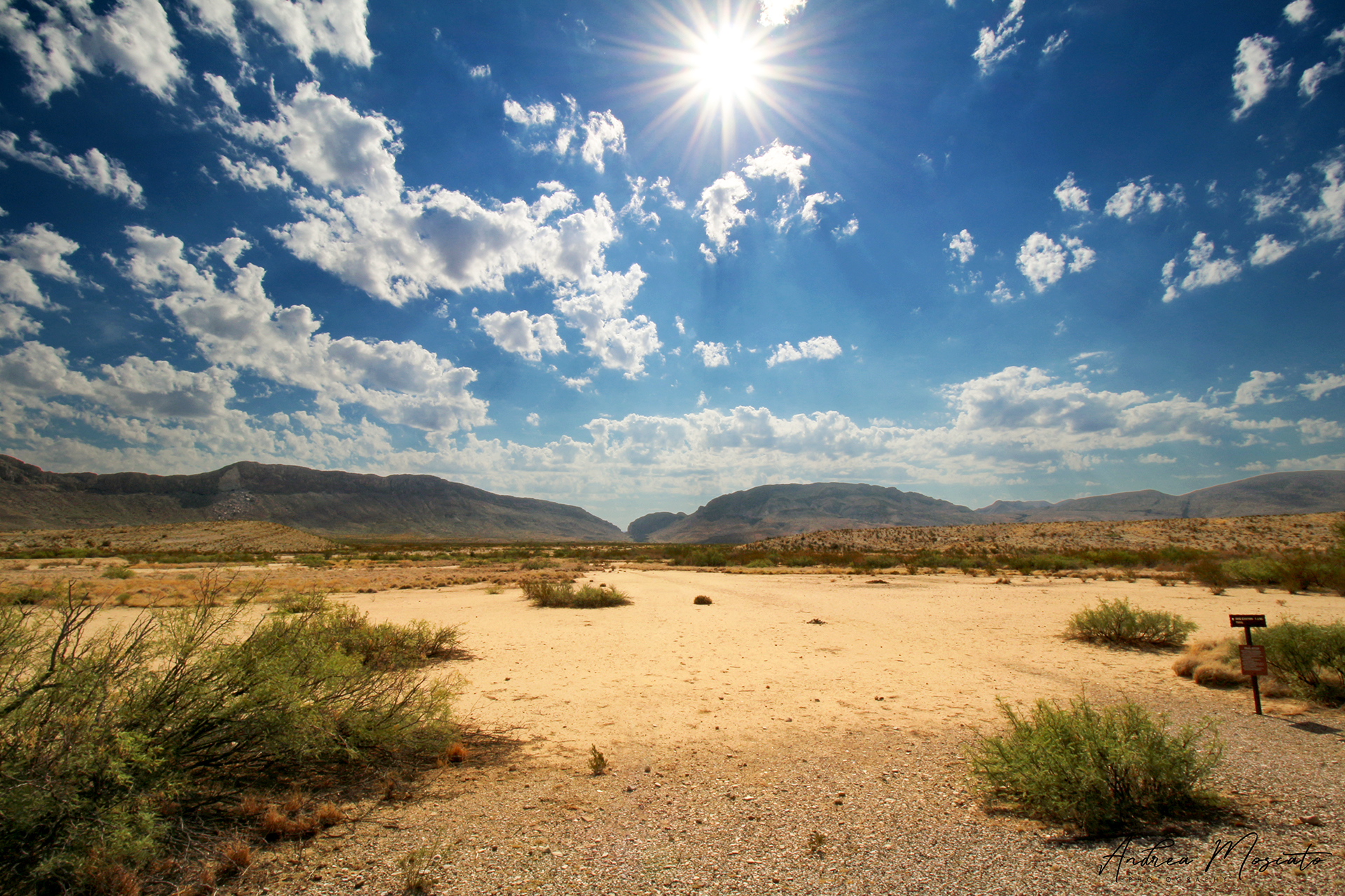 Chihuahuan Desert - Big Bend National Park (Texas)