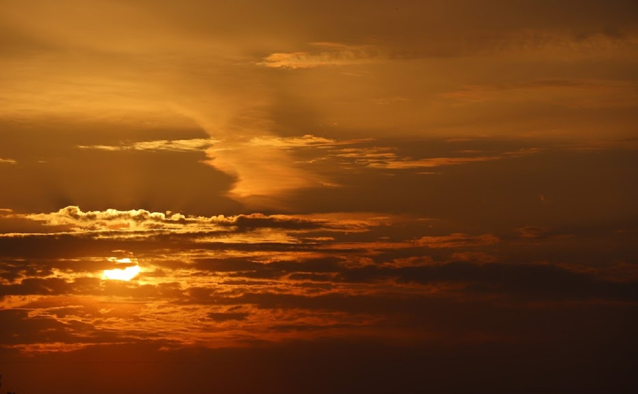 GIFTS FROM HEAVEN IN THE TIME OF CORONAVIRUS