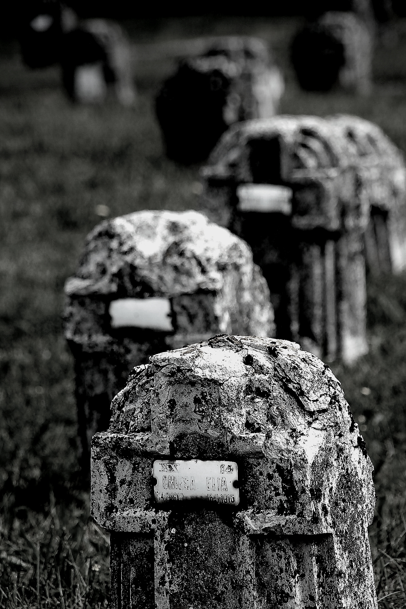 covid-19 - in memoriamm