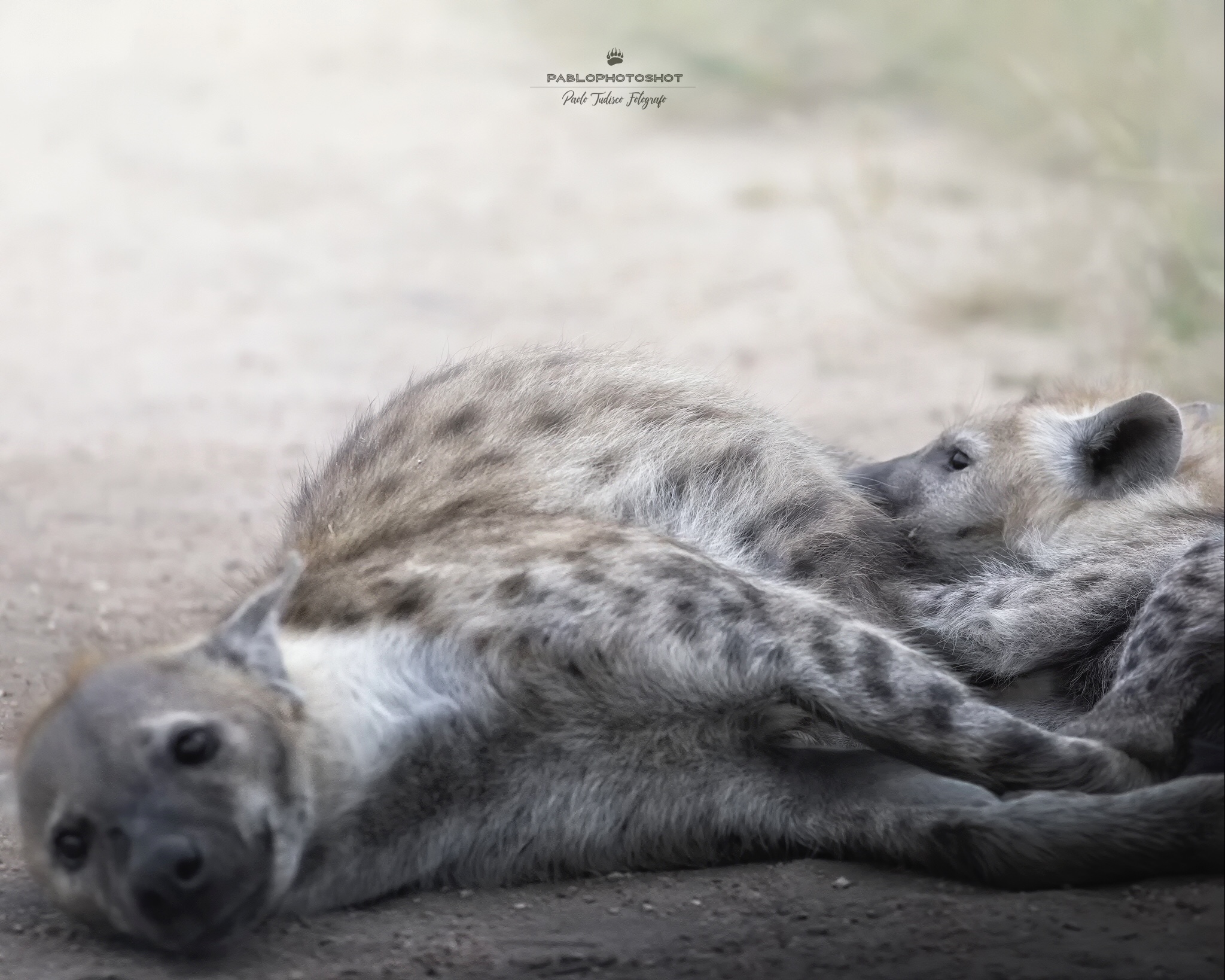 The Love of a Mother