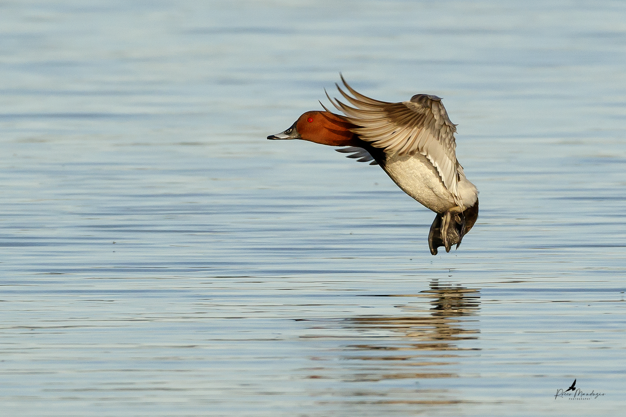 The landing of the ladle