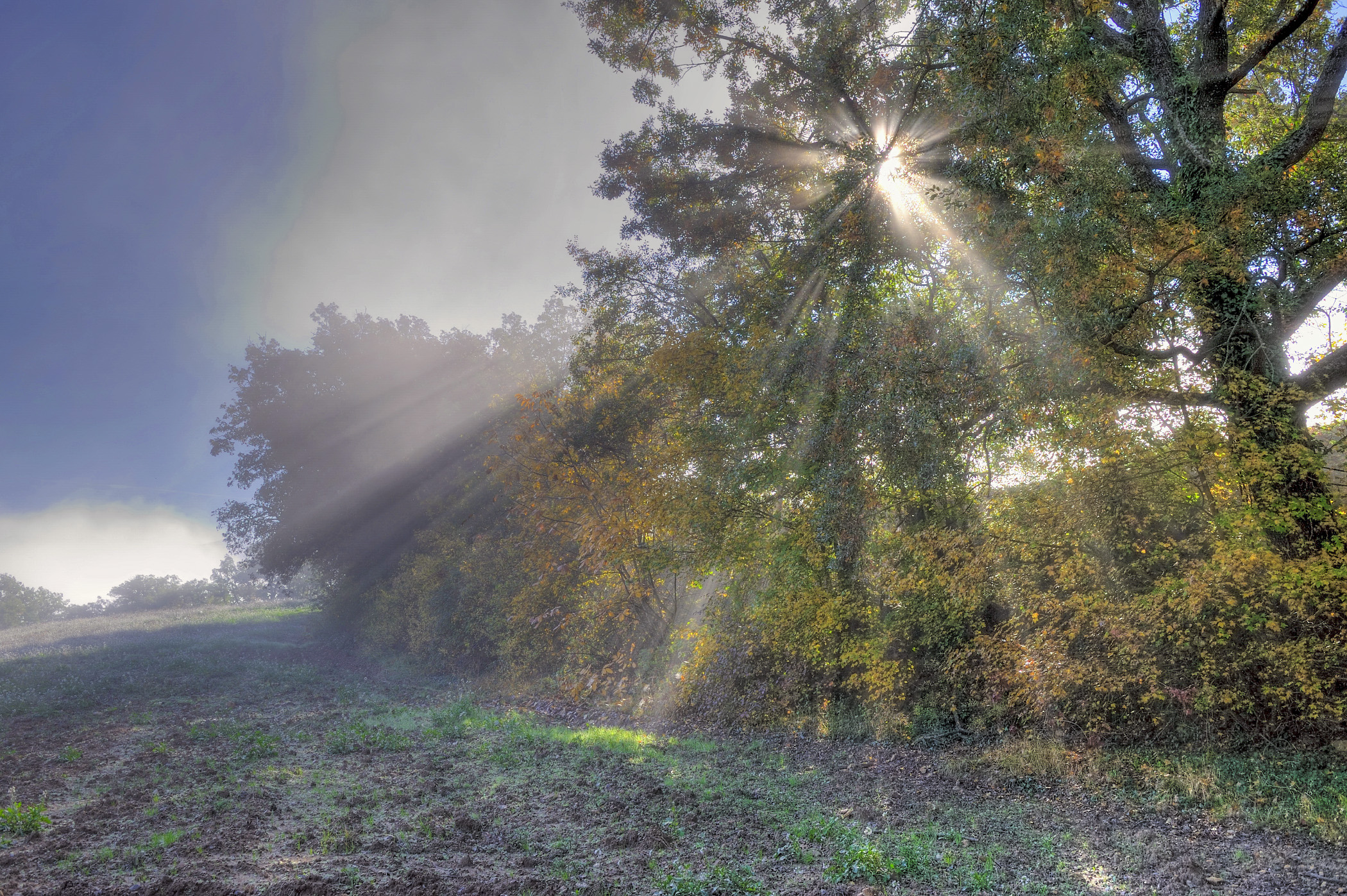 nieblas