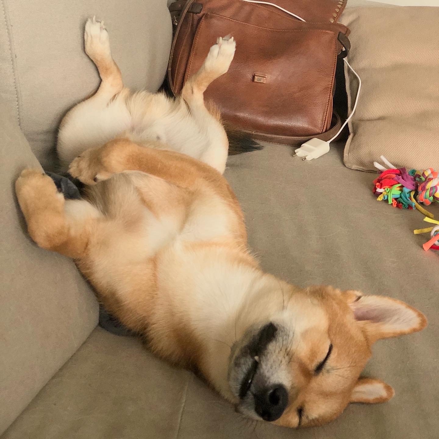 Dreaming