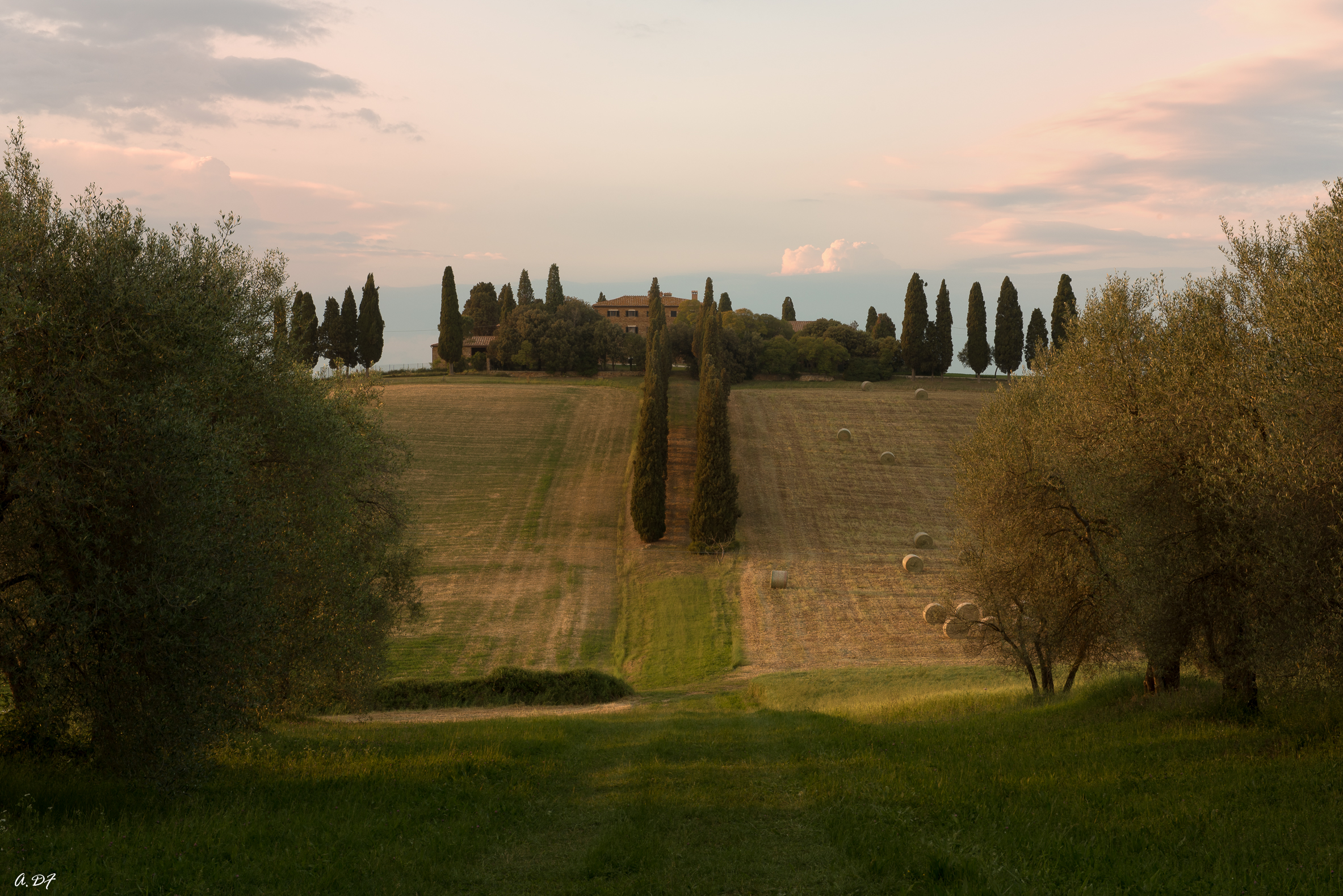 Dreaming of the Val d'Orcia