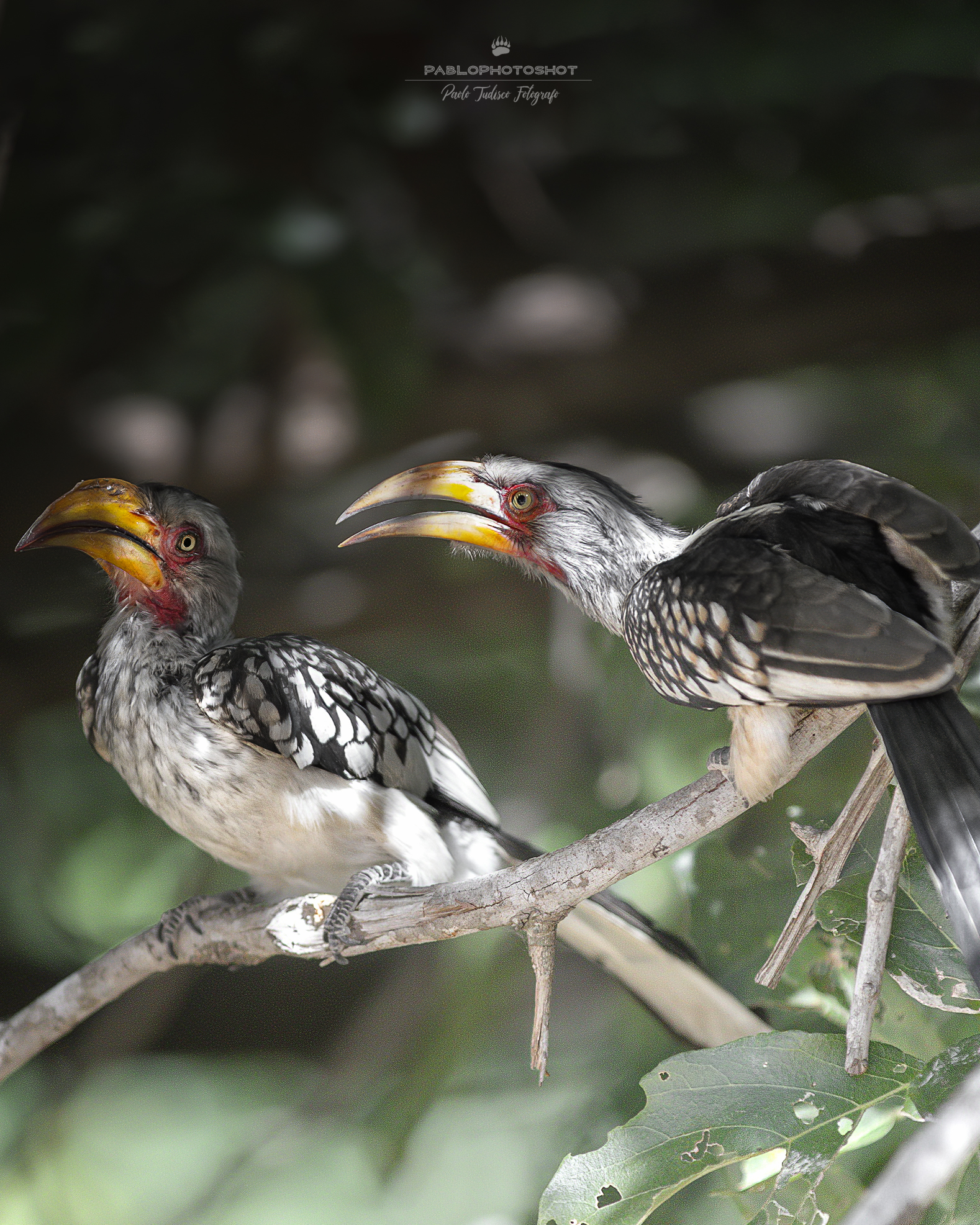 This quarantine destroys me