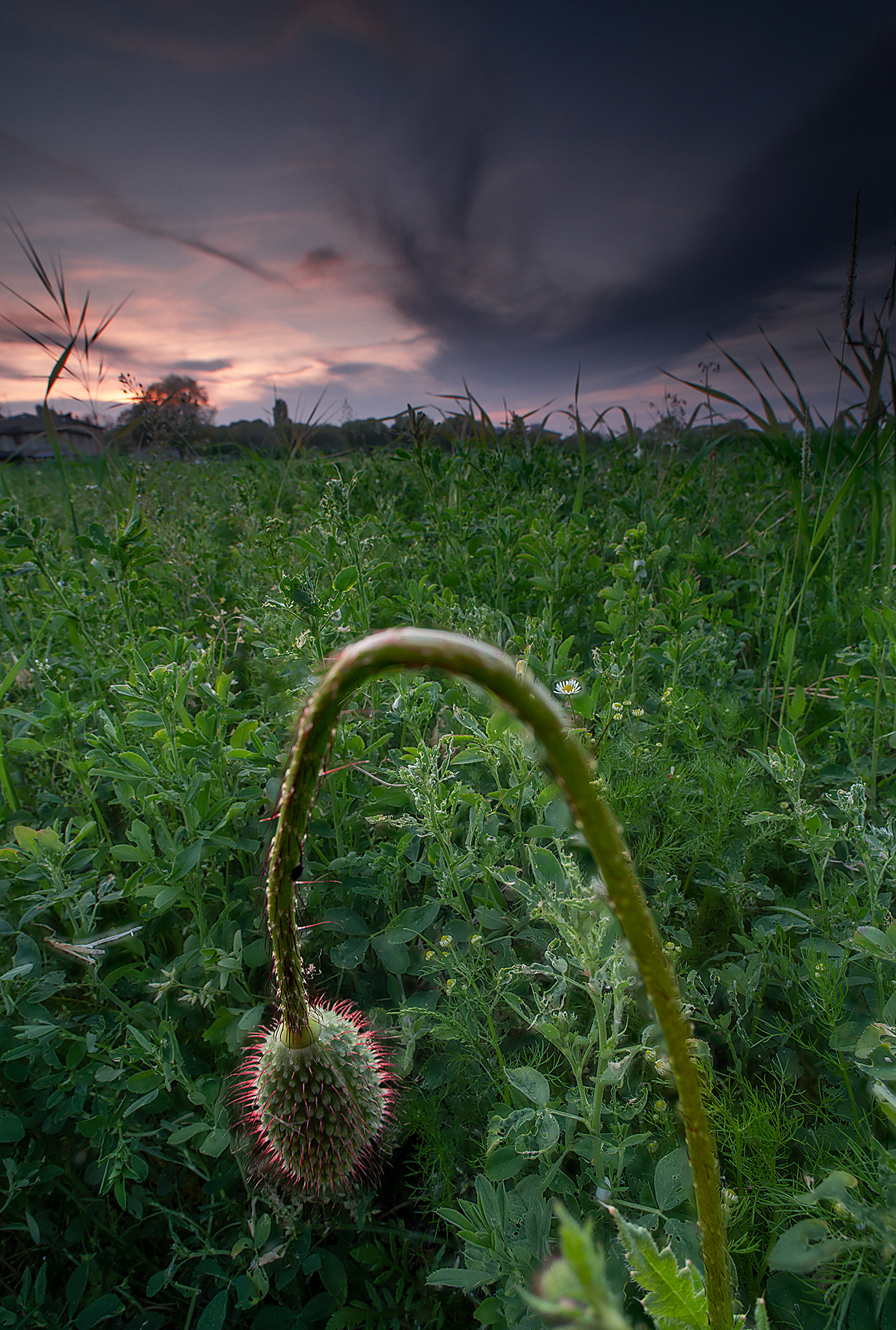 La macro ai tempi del coronavirus
