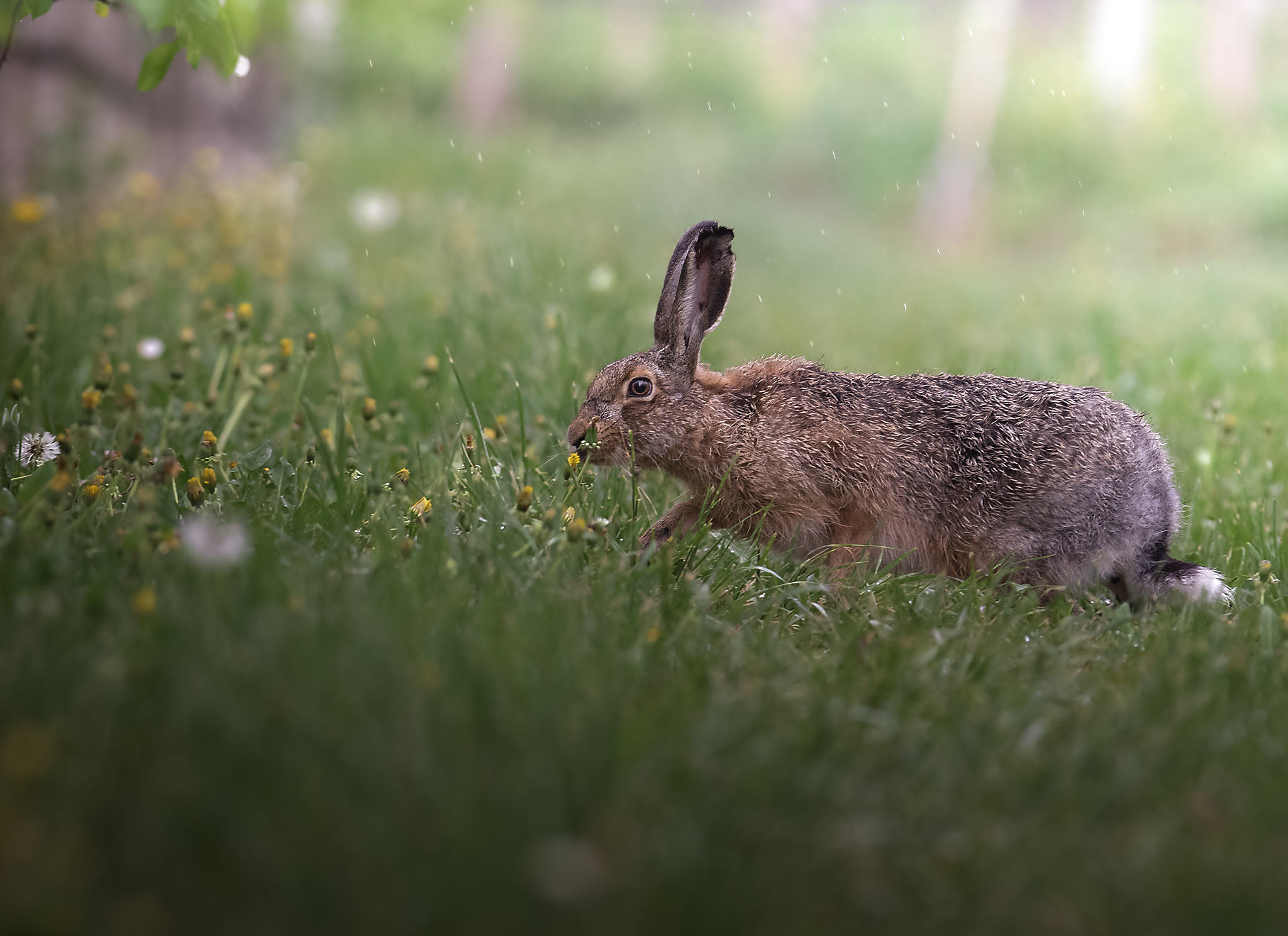 It's nice even in the rain