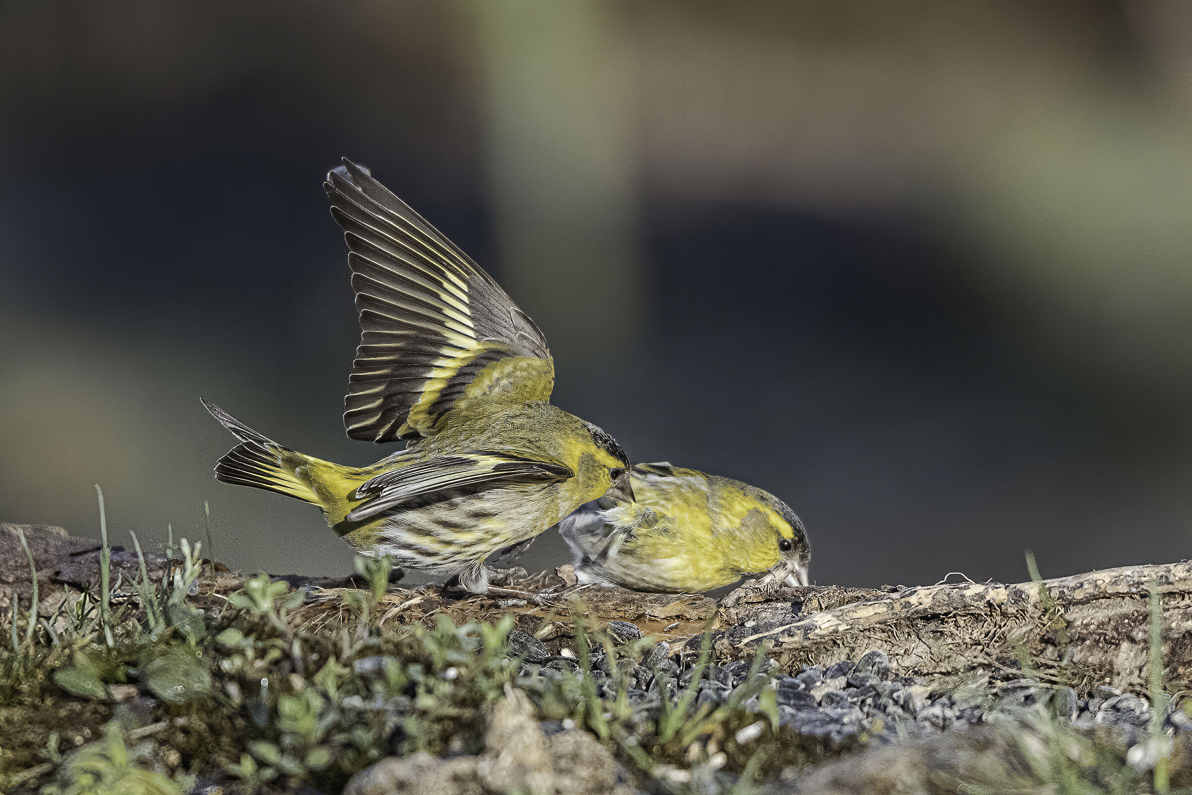 that you found beautiful?