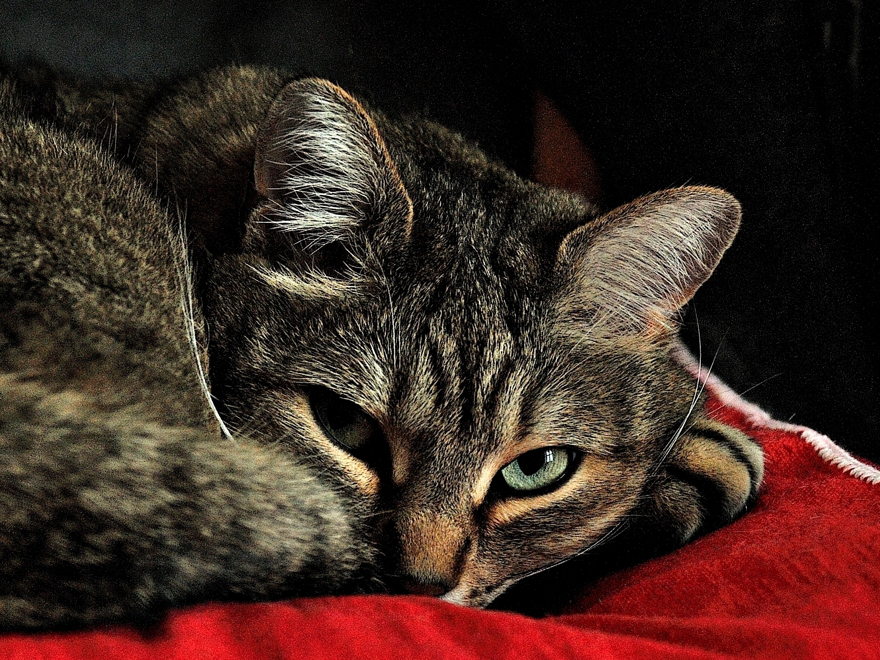 You can't go out?...... and who cares!