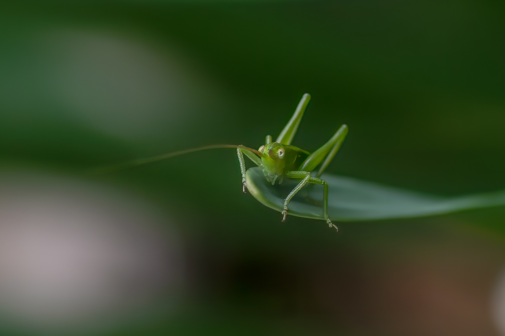 Untitled Photo