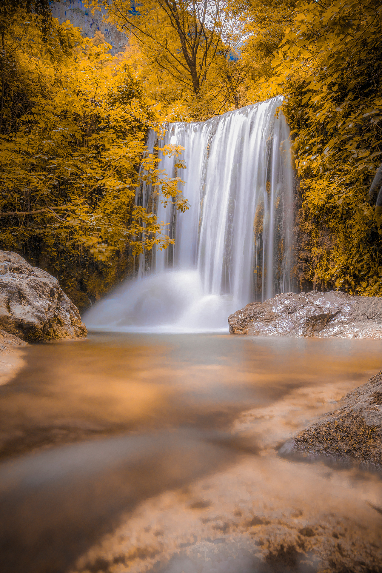 la natura non fa nulla di inutile.
