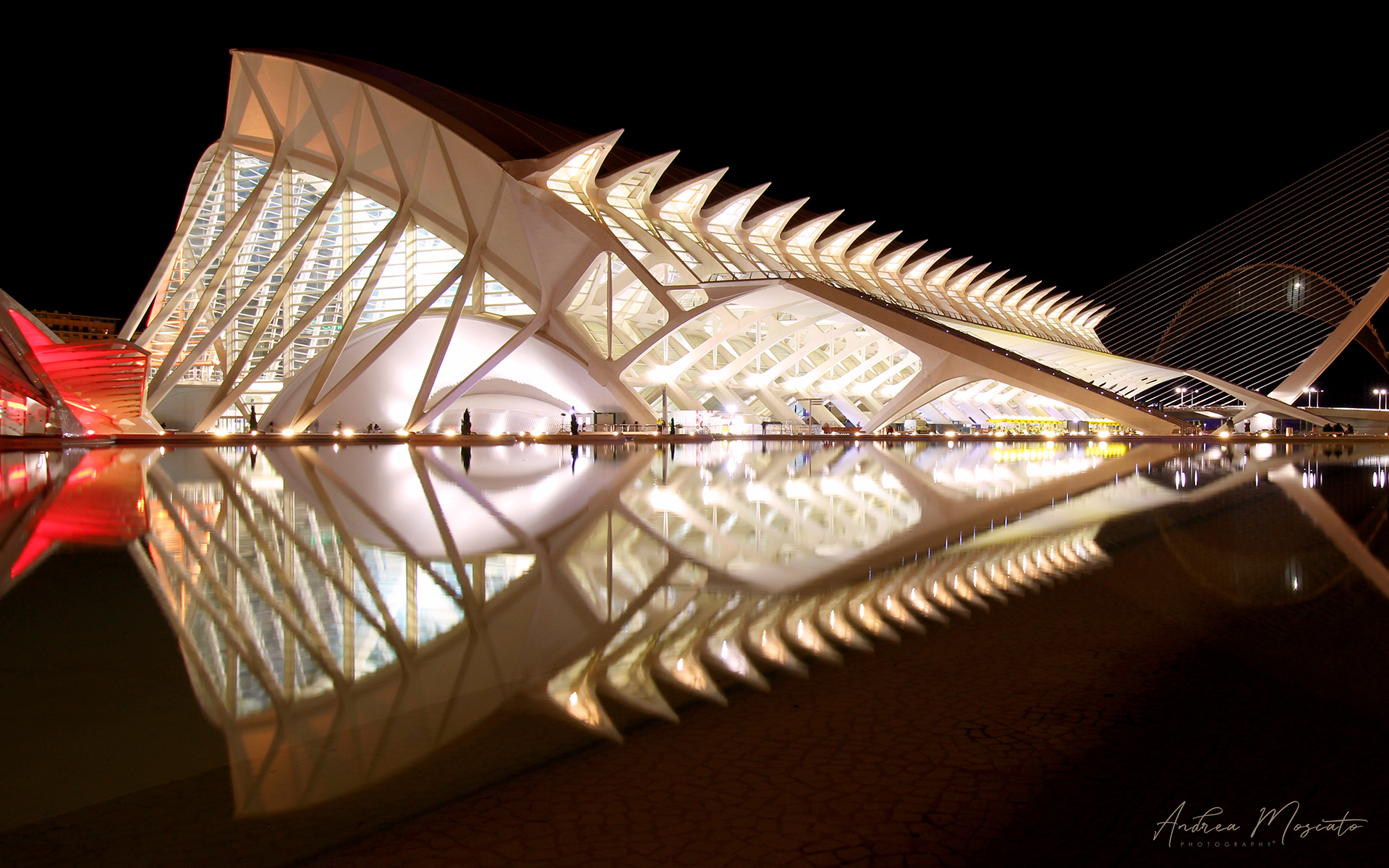 Science Museum - Valencia
