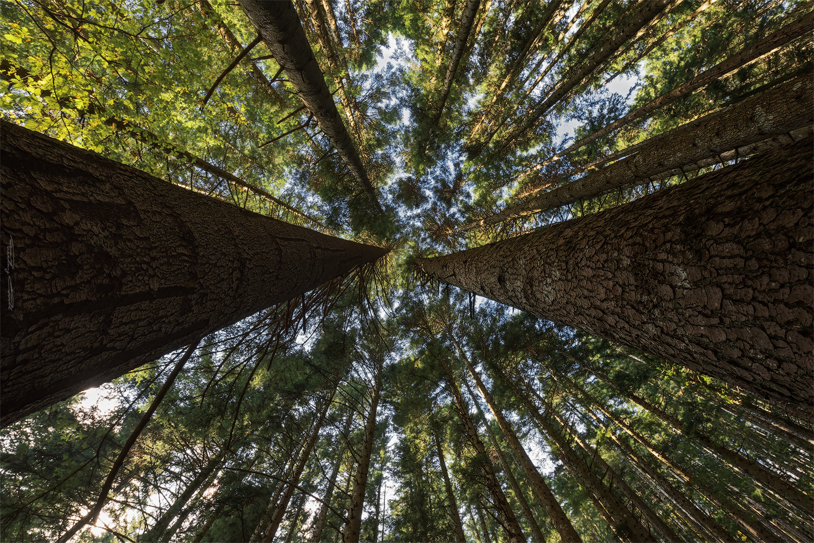 Pillars of the Earth