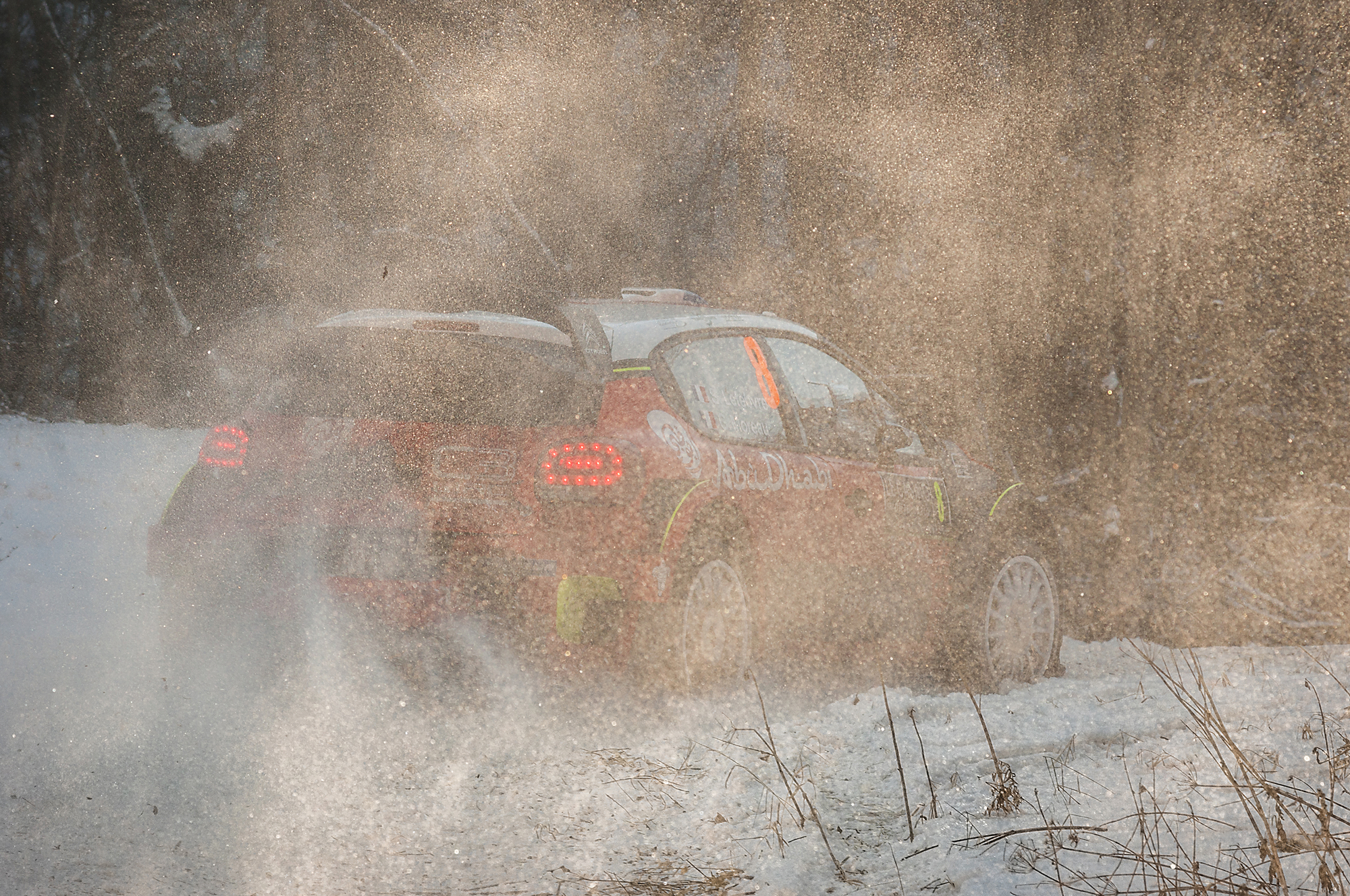WRC Rallye de Montecarlo 2017 - Lefebvre/Moreau