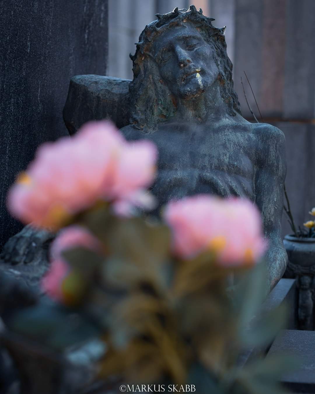 Contemplazione della morte