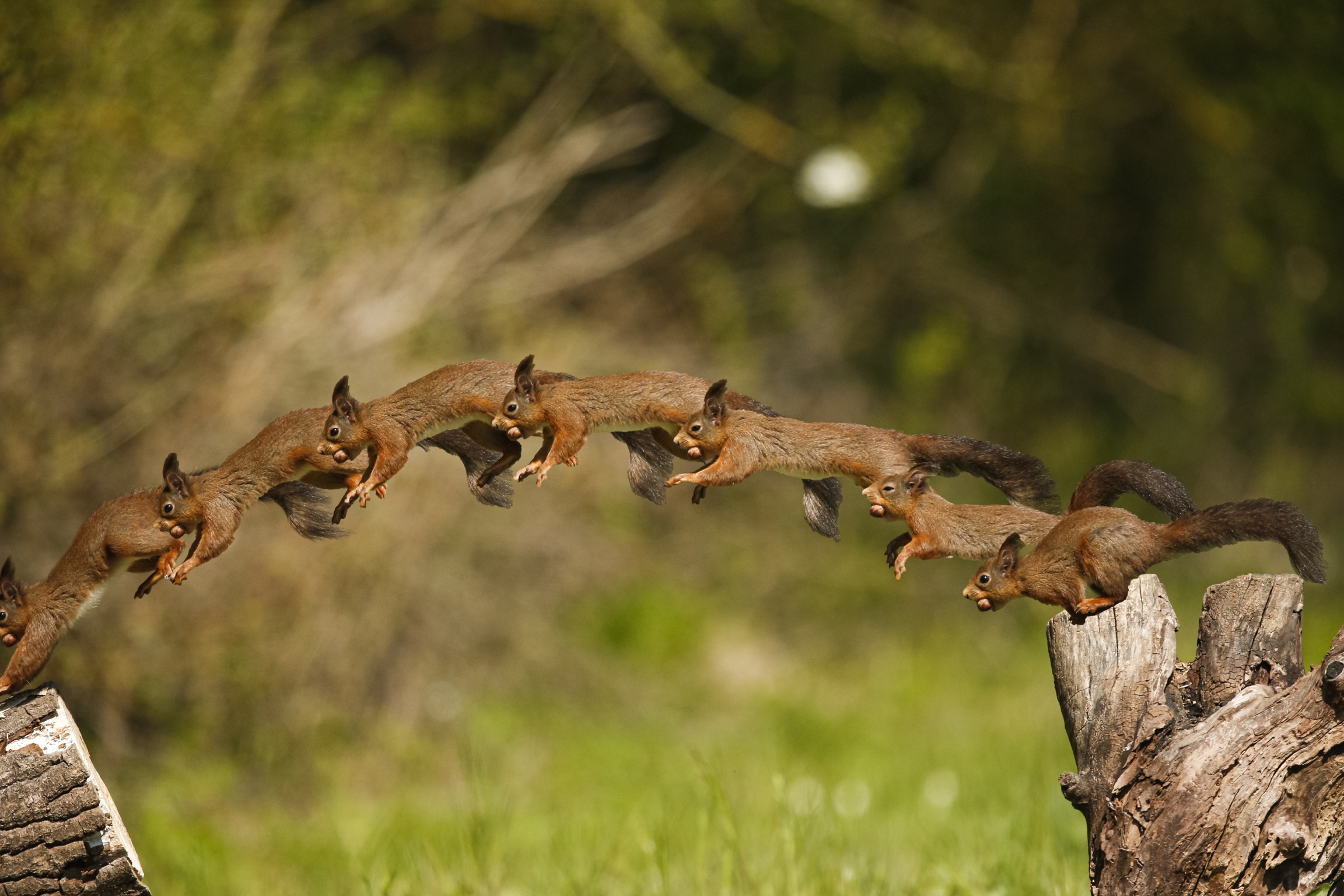 Sequenza di un salto