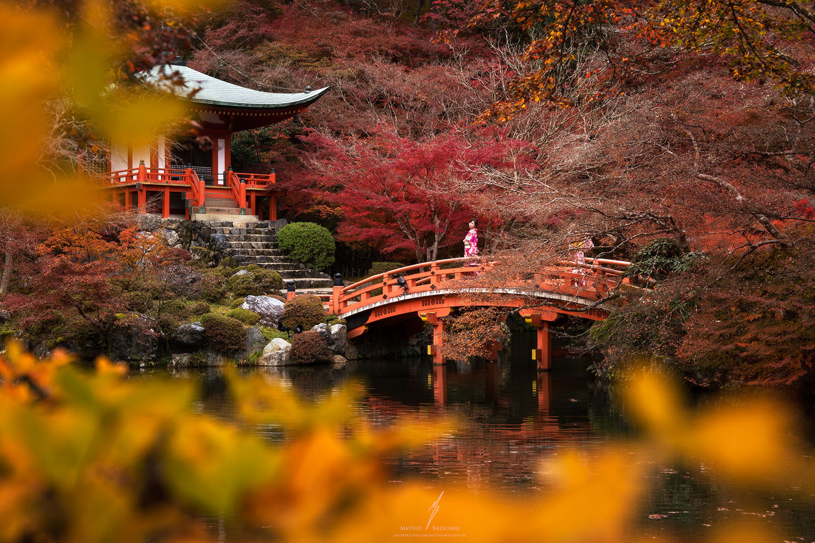Japanese Wonderland, New Zealand