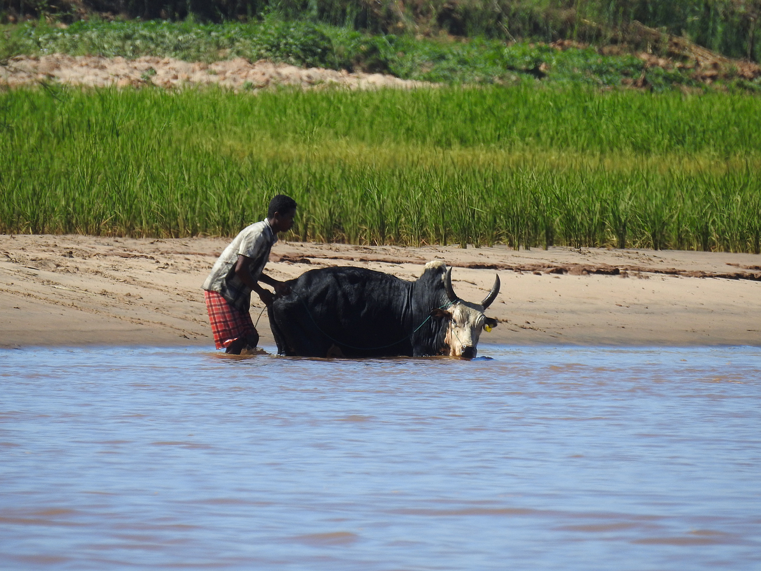 17-07-2019 Mania River, Madagascar