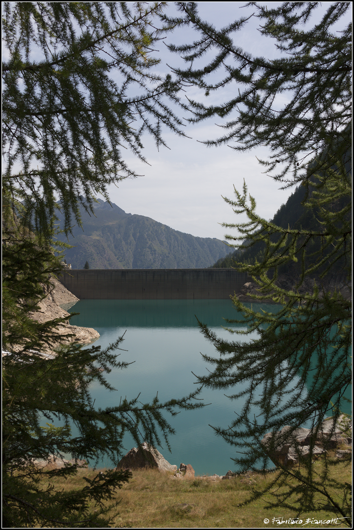 A glimpse of tranquility