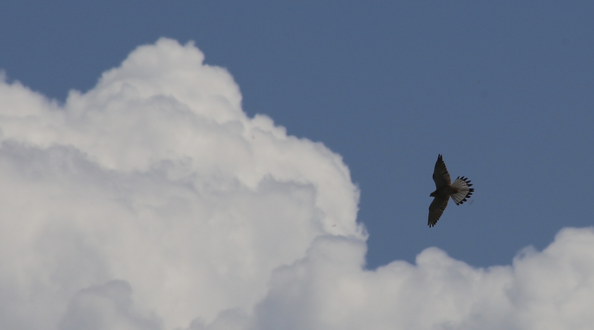 Torre di controllo...qui....