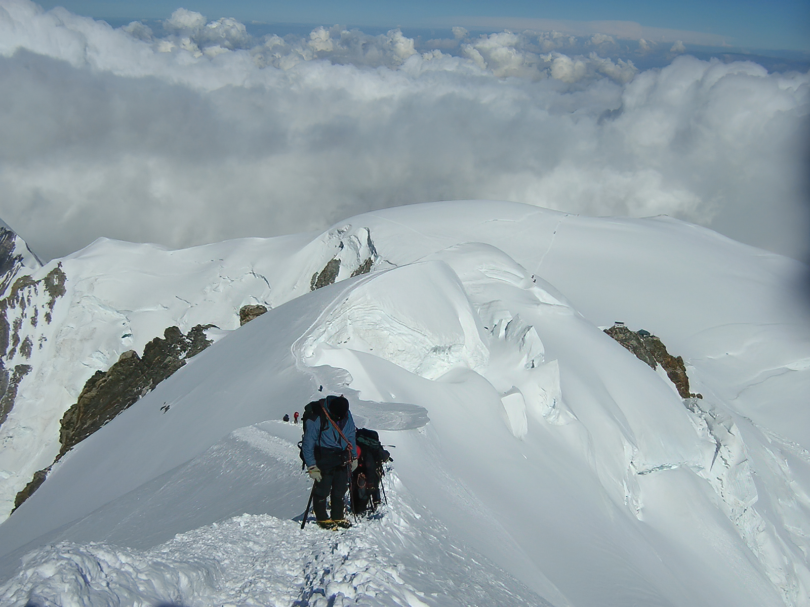 Last strenuous steps towards the top ( M.te White 2004