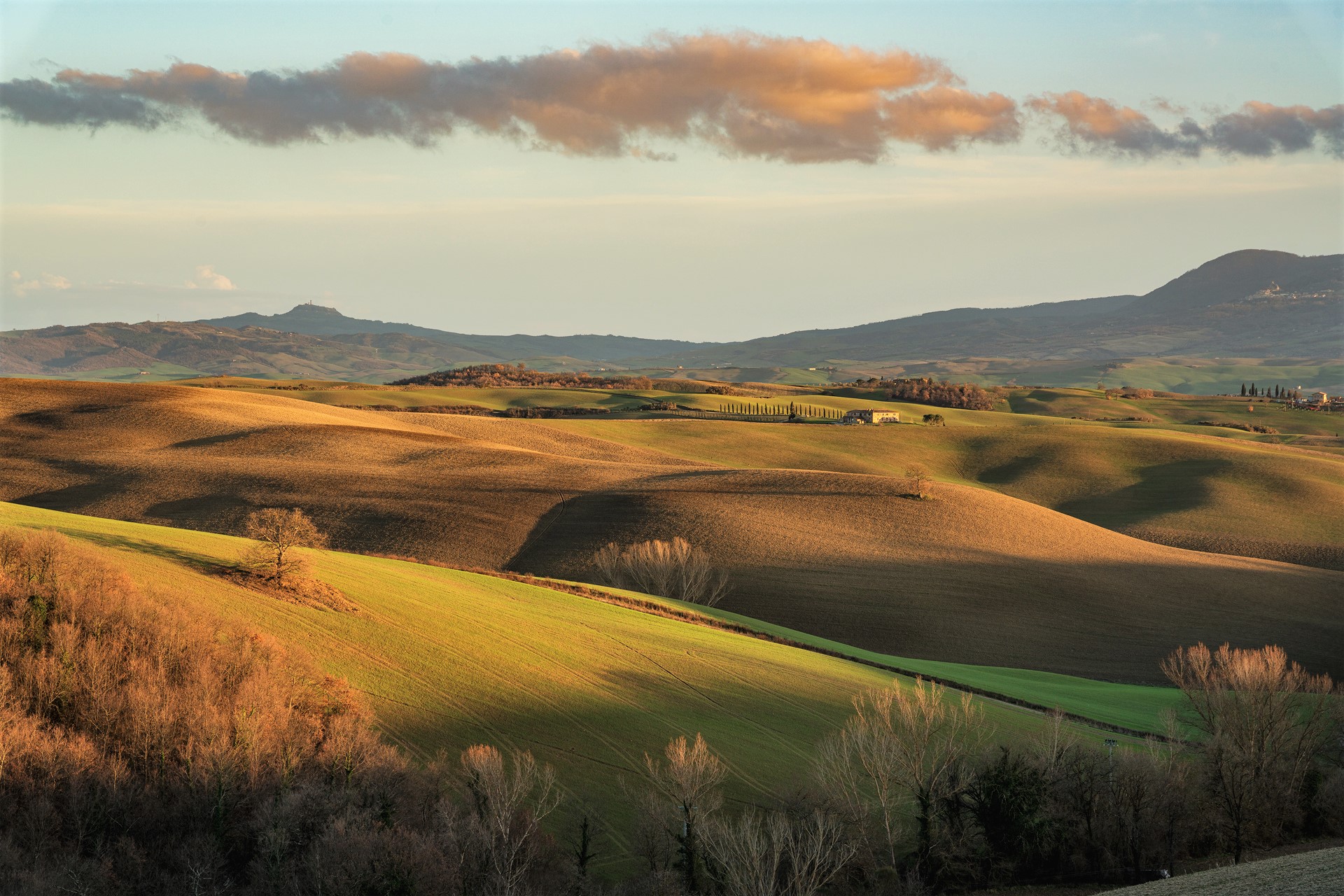 The warm light of the evening