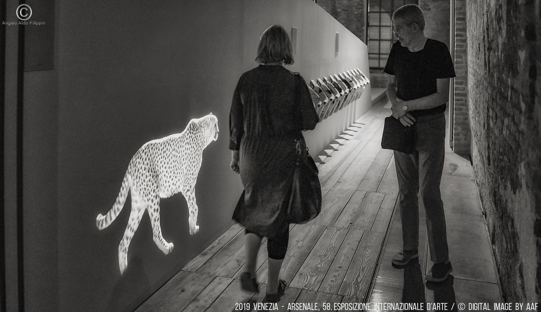 2019 Venezia, Arsenale-58. Esposizione Intern. d'Arte