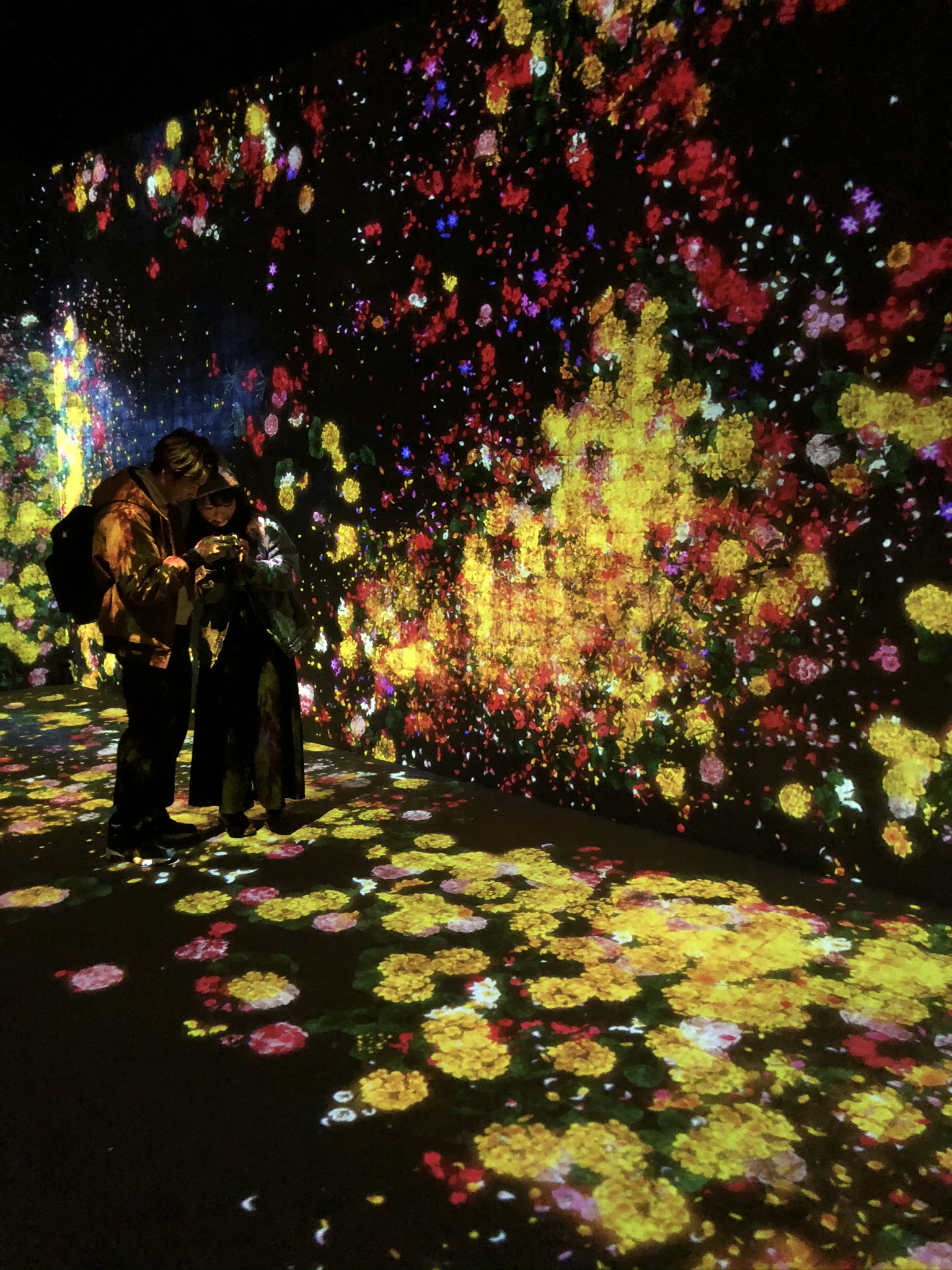 teamLab Borderless Tokyo