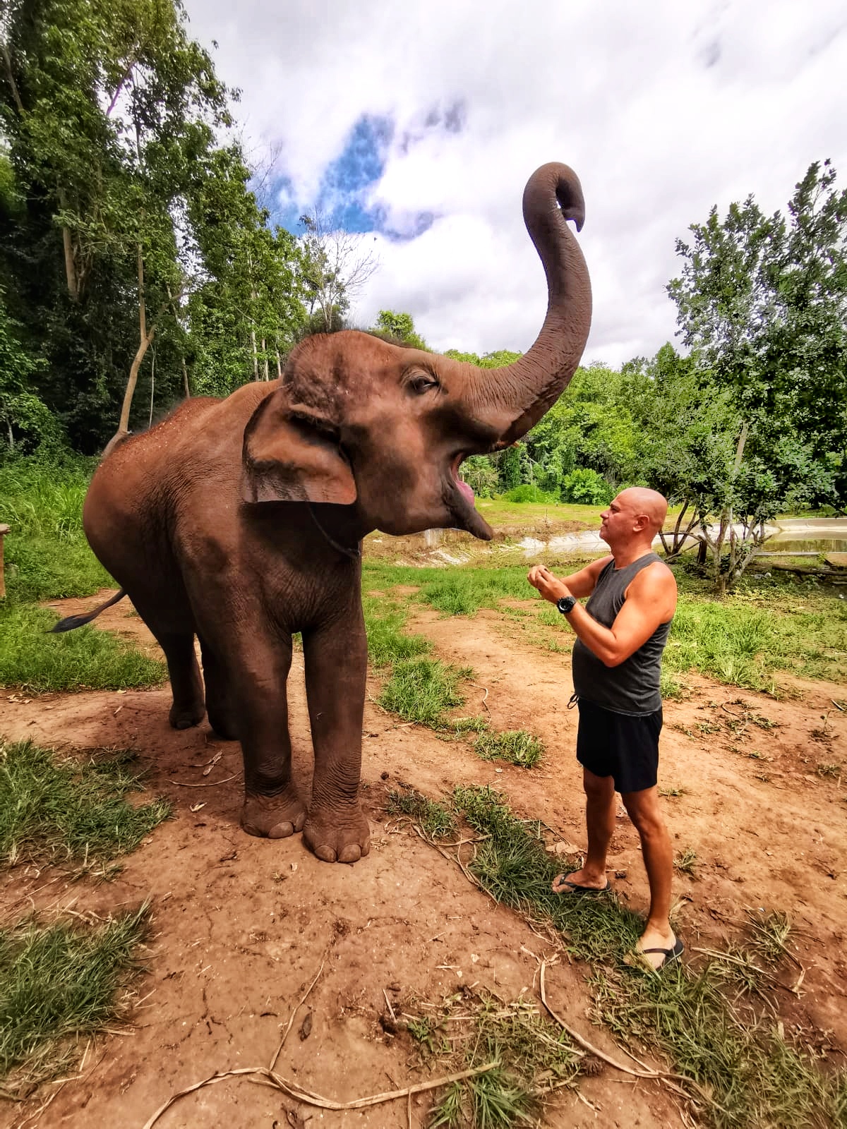 ora si mangia ...pranzo a chiang mai    thailandia