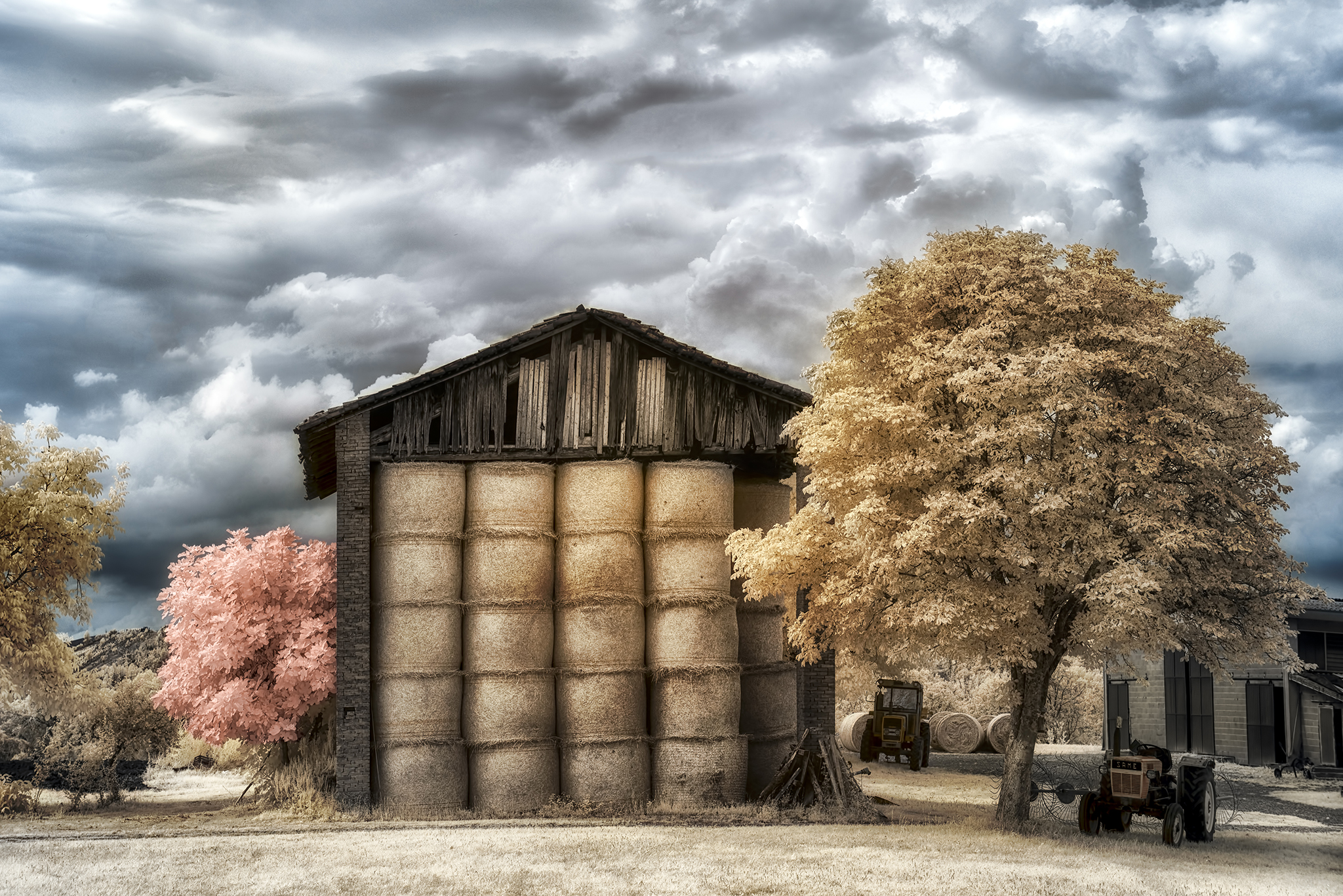 Infrared Vision. Fotografia a infrarosso eseguita con N