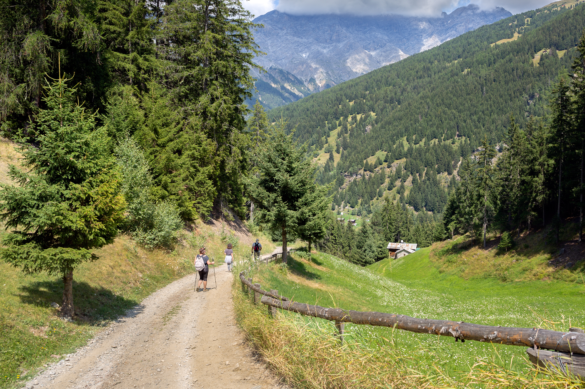 La casetta nel verde.