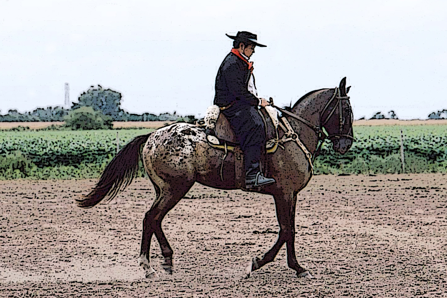 Los Gauchos Argentina
