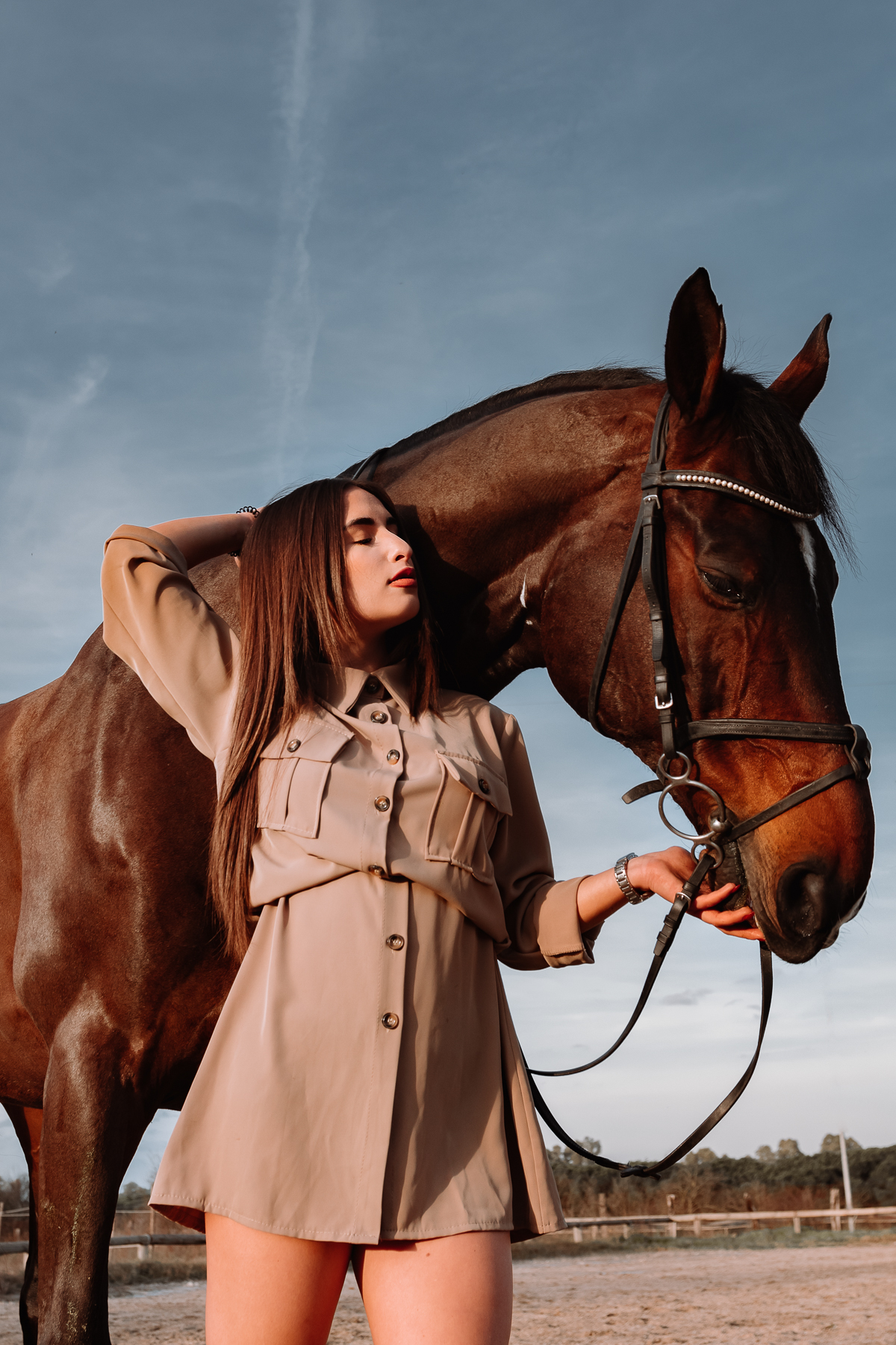 Alice Horse