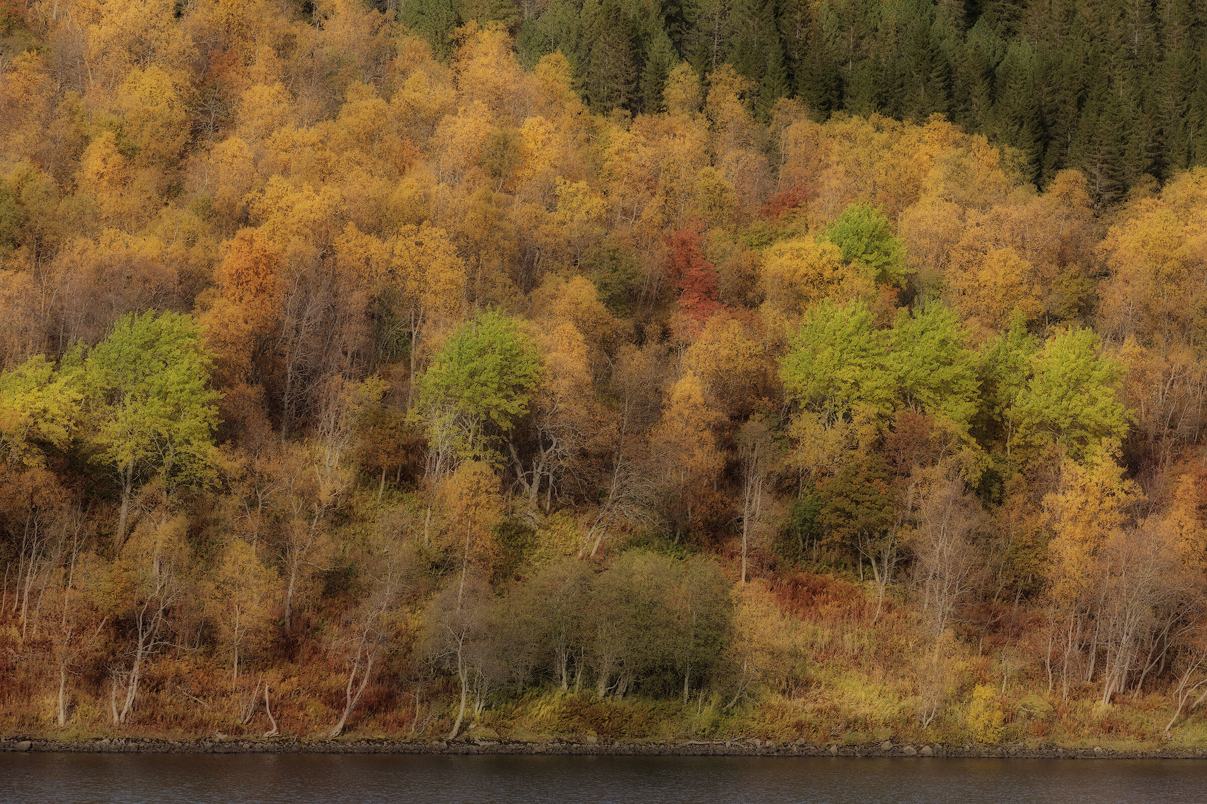 Autumn at Lofoten